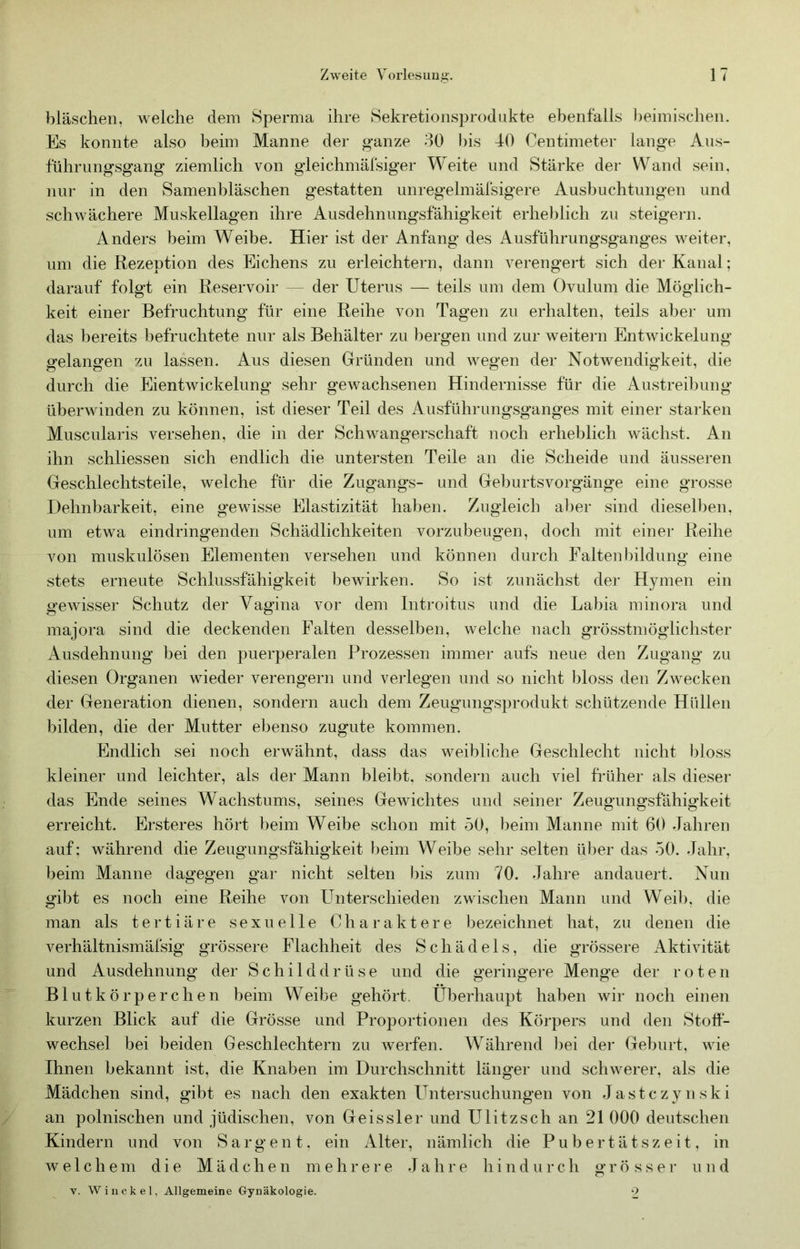 bläschen, welche dem Sperma ihre Sekretionsprodukte ebenfalls beimischen. Es konnte also heim Manne der ganze 30 his 40 Centimeter lange Aus- führungsgang ziemlich von gieichmäfsiger Weite und Stärke der Wand sein, nur in den Samen bläschen gestatten unregelmäl'sigere Aushuchtungen und schwächere Muskellagen ihre Ausdehnungsfähigkeit erheblich zu steigern. Anders heim Weihe. Hier ist der Anfang des Ausführungsganges weiter, um die Rezeption des Eichens zu erleichtern, dann verengert sich der Kanal; darauf folgt ein Reservoir — der Uterus — teils um dem Ovulum die Möglich- keit einer Befruchtung für eine Reihe von Tagen zu erhalten, teils aber um das bereits befruchtete nur als Behälter zu bergen und zur weiteni Entwickelung gelangen zu lassen. Aus diesen Gründen und wegen der Notwendigkeit, die durch die Eientwickelung sehr gewachsenen Hindernisse für die Austreibung überwinden zu können, ist dieser Teil des Ausführungsganges mit einer starken Muscularis versehen, die in der Schwangerschaft noch erheblich wächst. An ihn schliessen sich endlich die untersten Teile an die Scheide und äusseren Geschlechtsteile, welche für die Zugangs- und Gehurtsvorgänge eine grosse Dehnbarkeit, eine gewisse Elastizität haben. Zugleich aber sind dieselben, um etwa eindringenden Schädlichkeiten vorzubeugen, doch mit einer Reihe von muskulösen Elementen versehen und können durch Faltenbildung eine stets erneute Schlussfähigkeit bewirken. So ist zunächst der Hymen ein gewisser Schutz der Vagina vor dem Introitus und die Labia minora und majora sind die deckenden Falten desselben, welche nach grösstmöglichster Ausdehnung bei den puerperalen Prozessen immer aufs neue den Zugang zu diesen Organen wieder verengern und verlegen und so nicht bloss den Zwecken der Generation dienen, sondern auch dem Zeugungsprodukt schützende Hüllen bilden, die der Mutter ebenso zugute kommen. Endlich sei noch erwähnt, dass das weibliche Geschlecht nicht bloss kleiner und leichter, als der Mann bleibt, sondern auch viel früher als dieser das Ende seines Wachstums, seines Gewichtes und seiner Zeugungsfähigkeit erreicht. Ersteres hört heim Weibe schon mit 50, beim Manne mit 60 Jahren auf; während die Zeugungsfähigkeit beim Weihe sehr selten über das 50. Jahr, beim Manne dagegen gar nicht selten bis zum 70. Jahre andauert. Nun gibt es noch eine Reihe von LTnterschieden zwischen Mann und Weil), die man als tertiäre sexuelle Charaktere bezeichnet hat, zu denen die verhältnismäfsig grössere Flachheit des Schädels, die grössere Aktivität und Ausdehnung der Schilddrüse und die geringere Menge der roten Blutkörperchen heim Weihe gehört. Überhaupt haben Avir noch einen kurzen Blick auf die Grösse und Proportionen des Körpers und den Stoff- wechsel hei beiden Geschlechtern zu Averfen. Während bei der Geburt, Avie Ihnen bekannt ist, die Knaben im Durchschnitt länger und scIiAverer, als die Mädchen sind, gibt es nach den exakten Untersuchungen von Jastczynski an polnischen und jüdischen, von Geis sie r und Ulitzsch an 21 000 deutschen Kindern und von Sarg ent, ein Alter, nämlich die Pubertätszeit, in welchem die Mädchen mehrere Jahre hindurch grö sser u nd