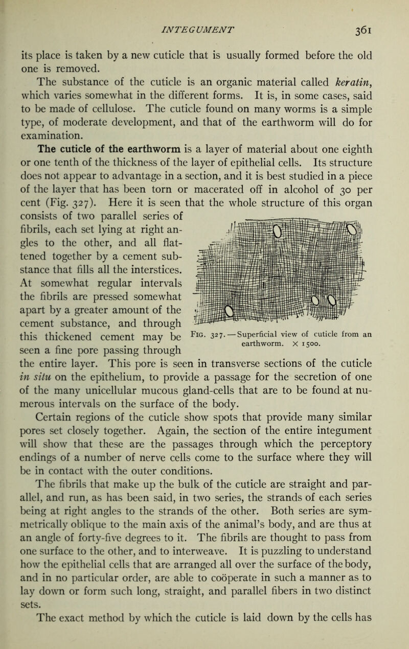 INTE G UMENT 3 61 its place is taken by a new cuticle that is usually formed before the old one is removed. The substance of the cuticle is an organic material called keratin, which varies somewhat in the different forms. It is, in some cases, said to be made of cellulose. The cuticle found on many worms is a simple type, of moderate development, and that of the earthworm will do for examination. The cuticle of the earthworm is a layer of material about one eighth or one tenth of the thickness of the layer of epithelial cells. Its structure does not appear to advantage in a section, and it is best studied in a piece of the layer that has been torn or macerated off in alcohol of 30 per cent (Fig. 327). Here it is seen that the whole structure of this organ consists of two parallel series of fibrils, each set lying at right an- gles to the other, and all flat- tened together by a cement sub- stance that fills all the interstices. At somewhat regular intervals the fibrils are pressed somewhat apart by a greater amount of the cement substance, and through this thickened cement may be seen a fine pore passing through the entire layer. This pore is seen in transverse sections of the cuticle in situ on the epithelium, to provide a passage for the secretion of one of the many unicellular mucous gland-cells that are to be found at nu- merous intervals on the surface of the body. Certain regions of the cuticle show spots that provide many similar pores set closely together. Again, the section of the entire integument will show that these are the passages through which the perceptory endings of a number of nerve cells come to the surface where they will be in contact with the outer conditions. The fibrils that make up the bulk of the cuticle are straight and par- allel, and run, as has been said, in two series, the strands of each series being at right angles to the strands of the other. Both series are sym- metrically oblique to the main axis of the animal’s body, and are thus at an angle of forty-five degrees to it. The fibrils are thought to pass from one surface to the other, and to interweave. It is puzzling to understand how the epithelial cells that are arranged all over the surface of the body, and in no particular order, are able to cooperate in such a manner as to lay down or form such long, straight, and parallel fibers in two distinct sets. The exact method by which the cuticle is laid down by the cells has Fig. 327. Superficial view of cuticle from an earthworm. X 1500.
