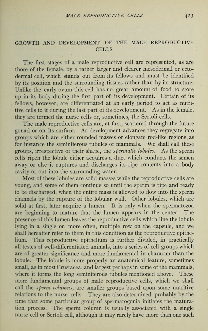 GROWTH AND DEVELOPMENT OF THE MALE REPRODUCTIVE CELLS The first stages of a male reproductive cell are represented, as are those of the female, by a rather larger and clearer mesodermal or ecto- dermal cell, which stands out from its fellows and must be identified by its position and the surrounding tissues rather than by its structure. Unlike the early ovum this cell has no great amount of food to store up in its body during the first part of its development. Certain of its fellows, however, are differentiated at an early period to act as nutri- tive cells to it during the last part of its development. As in the female, they are termed the nurse cells or, sometimes, the Sertoli cells. The male reproductive cells are, at first, scattered through the future gonad or on its surface. As development advances they segregate into groups which are either rounded masses or elongate rod-like regions, as for instance the seminiferous tubules of mammals. We shall call these groups, irrespective of their shape, the spermatic lobules. As the sperm cells ripen the lobule either acquires a duct which conducts the semen away or else it ruptures and discharges its ripe contents into a body cavity or out into the surrounding water. Most of these lobules are solid masses while the reproductive cells are young, and some of them continue so until the sperm is ripe and ready to be discharged, when the entire mass is allowed to flow into the sperm channels by the rupture of the lobular wall. Other lobules, which are solid at first, later acquire a lumen. It is only when the spermatozoa are beginning to mature that the lumen appears in the center. The presence of this lumen leaves the reproductive cells which line the lobule lying in a single or, more often, multiple row on the capsule, and we shall hereafter refer to them in this condition as the reproductive epithe- lium. This reproductive epithelium is further divided, in practically all testes of well-differentiated animals, into a series of cell groups which are of greater significance and more fundamental in character than the lobule. The lobule is more properly an anatomical feature, sometimes small, as in most Crustacea, and largest perhaps in some of the mammals, where it forms the long seminiferous tubules mentioned above. These more fundamental groups of male reproductive cells, which we shall call the sperm columns, are smaller groups based upon some nutritive relations to the nurse cells. They are also determined probably by the time that some particular group of spermatogonia initiates the matura- tion process. The sperm column is usually associated with a single nurse cell or Sertoli cell, although it may rarely have more than one such