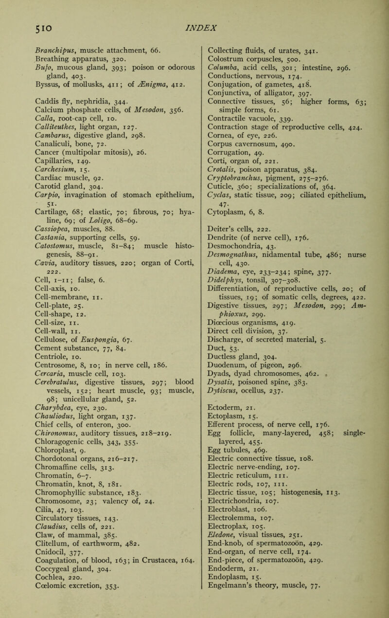 Branchipus, muscle attachment, 66. Breathing apparatus, 320. Bufo, mucous gland, 393; poison or odorous gland, 403. Byssus, of mollusks, 411; of ^Enigma, 412. Caddis fly, nephridia, 344. Calcium phosphate cells, of Mesodon, 356. Calla, root-cap cell, 10. Calliteuthes, light organ, 127. Cambarus, digestive gland, 298. Canaliculi, bone, 72. Cancer (multipolar mitosis), 26. Capillaries, 149. Carchesium, 15. Cardiac muscle, 92. Carotid gland, 304. Carpio, invagination of stomach epithelium, 51- Cartilage, 68; elastic, 70; fibrous, 70; hya- line, 69; of Loligo, 68-69. Cassiopea, muscles, 88. Castania, supporting cells, 59. Catostomus, muscle, 81-84; muscle histo- genesis, 88-91. Cavia, auditory tissues, 220; organ of Corti, 222. Cell, i-ii; false, 6. Cell-axis, 10. Cell-membrane, 11. Cell-plate, 25. Cell-shape, 12. Cell-size, n. Cell-wall, 11. Cellulose, of Euspongia, 67. Cement substance, 77, 84. Centriole, 10. Centrosome, 8, 10; in nerve cell, 186. Cercaria, muscle cell, 103. Cerebratulus, digestive tissues, 297; blood vessels, 152; heart muscle, 93; muscle, 98; unicellular gland, 52. Charybdea, eye, 230. Chauliodus, light organ, 137. Chief cells, of enteron, 300. Chironomus, auditory tissues, 218-219. Chloragogenic cells, 343, 355. Chloroplast, 9. Chordotonal organs, 216-217. Chromaffine cells, 313. Chromatin, 6-7. Chromatin, knot, 8, 181. Chromophyllic substance, 183. Chromosome, 23; valency of, 24. Cilia, 47, 103. Circulatory tissues, 143. Claudius, cells of, 221. Claw, of mammal, 385. Clitellum, of earthworm, 482. Cnidocil, 377. Coagulation, of blood, 163; in Crustacea, 164. Coccygeal gland, 304. Cochlea, 220. Ccelomic excretion, 353. Collecting fluids, of mates, 341. Colostrum corpuscles, 500. Columba, acid cells, 301; intestine, 296. Conductions, nervous, 174. Conjugation, of gametes, 418. Conjunctiva, of alligator, 397. Connective tissues, 56; higher forms, 63; simple forms, 61. Contractile vacuole, 339. Contraction stage of reproductive cells, 424. Cornea, of eye, 226. Corpus cavernosum, 490. Corrugation, 49. Corti, organ of, 221. Crotalis, poison apparatus, 384. Cryptobranchus, pigment, 275-276. Cuticle, 360; specializations of, 364. Cyclas, static tissue, 209; ciliated epithelium, 47- Cytoplasm, 6, 8. Deiter’s cells, 222. Dendrite (of nerve cell), 176. Desmochondria, 43. Desmognathus, nidamental tube, 486; nurse cell, 430. Diadema, eye, 233-234; spine, 377. Didelphys, tonsil, 307-308. Differentiation, of reproductive cells, 20; of tissues, 19; of somatic cells, degrees, 422. Digestive tissues, 297; Mesodon, 299; Am- phioxus, 299. Dioecious organisms, 419. Direct cell division, 37. Discharge, of secreted material, 5. Duct, 53. Ductless gland, 304. Duodenum, of pigeon, 296. Dyads, dyad chromosomes, 462. . Dysatis, poisoned spine, 383. Dytiscus, ocellus, 237. Ectoderm, 21. Ectoplasm, 15. Efferent process, of nerve cell, 176. Egg follicle, many-layered, 458; single- layered, 455- Egg tubules, 469. Electric connective tissue, 108. Electric nerve-ending, 107. Electric reticulum, 111. Electric rods, 107, 111. Electric tissue, 105; histogenesis, 113. Electrichondria, 107. Electroblast, 106. Electrolemma, 107. Electroplax, 105. Eledone, visual tissues, 251. End-knob, of spermatozoon, 429. End-organ, of nerve cell, 174. End-piece, of spermatozoon, 429. Endoderm, 21. Endoplasm, 15. Engelmann’s theory, muscle, 77.