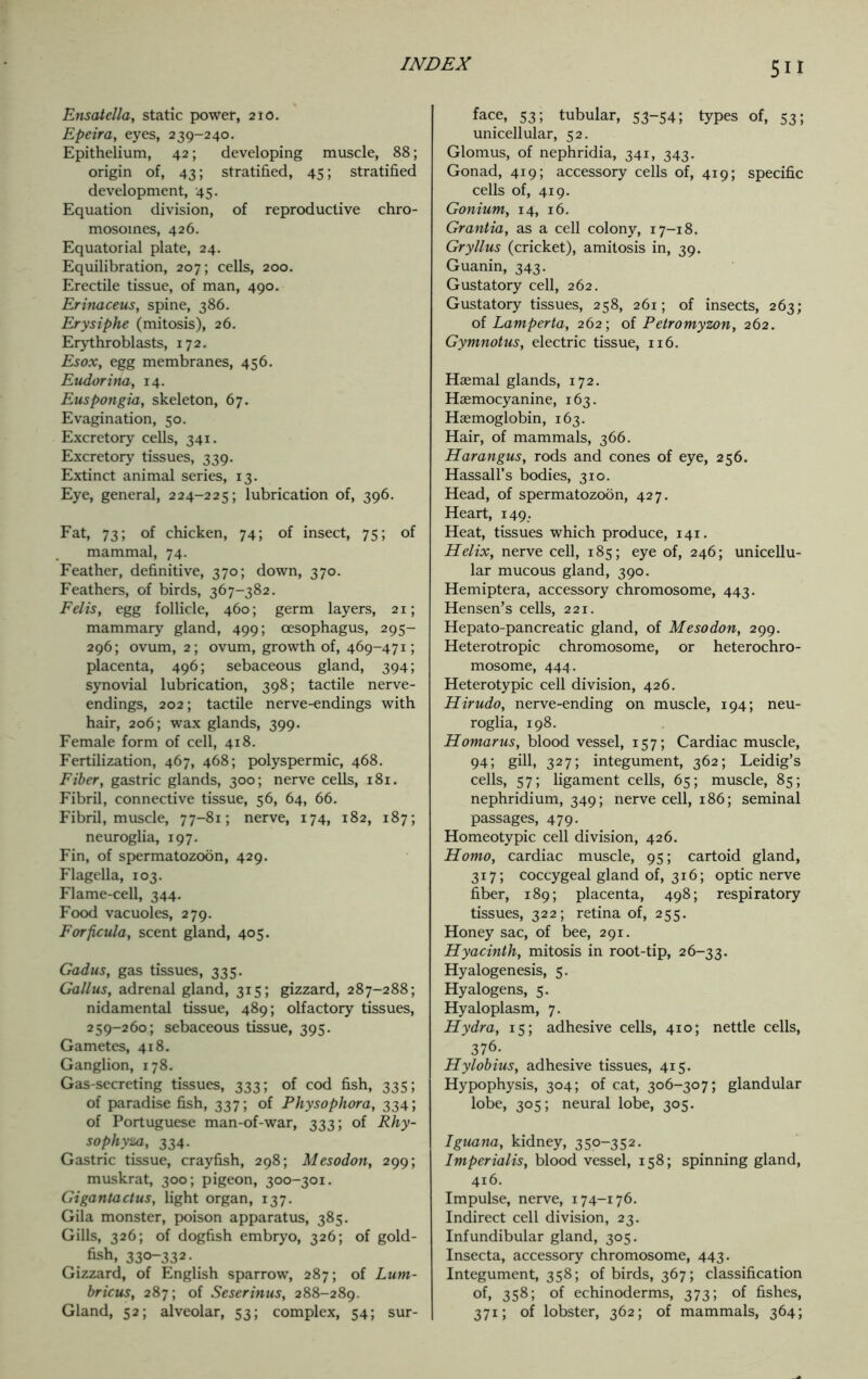 Ensatella, static power, 210. Epeira, eyes, 239-240. Epithelium, 42; developing muscle, 88; origin of, 43; stratified, 45; stratified development, 45. Equation division, of reproductive chro- mosomes, 426. Equatorial plate, 24. Equilibration, 207; cells, 200. Erectile tissue, of man, 490. Erinaceus, spine, 386. Erysiphe (mitosis), 26. Erythroblasts, 172. Esox, egg membranes, 456. Eudorina, 14. Euspongia, skeleton, 67. Evagination, 50. Excretory cells, 341. Excretory tissues, 339. Extinct animal series, 13. Eye, general, 224-225; lubrication of, 396. Fat, 73; of chicken, 74; of insect, 75; of mammal, 74. Feather, definitive, 370; down, 370. Feathers, of birds, 367-382. Felis, egg follicle, 460; germ layers, 21; mammary gland, 499; oesophagus, 295- 296; ovum, 2; ovum, growth of, 469-471; placenta, 496; sebaceous gland, 394; synovial lubrication, 398; tactile nerve- endings, 202; tactile nerve-endings with hair, 206; wax glands, 399. Female form of cell, 418. Fertilization, 467, 468; polyspermic, 468. Fiber, gastric glands, 300; nerve cells, 181. Fibril, connective tissue, 56, 64, 66. Fibril, muscle, 77-81; nerve, 174, 182, 187; neuroglia, 197. Fin, of spermatozoon, 429. Flagella, 103. Flame-cell, 344. Food vacuoles, 279. Forficula, scent gland, 405. Gadus, gas tissues, 335. Gallus, adrenal gland, 315; gizzard, 287-288; nidamental tissue, 489; olfactory tissues, 259-260; sebaceous tissue, 395. Gametes, 418. Ganglion, 178. Gas-secreting tissues, 333; of cod fish, 335; of paradise fish, 337; of Physophora, 334; of Portuguese man-of-war, 333; of Rhy- sophyza, 334. Gastric tissue, crayfish, 298; Mesodon, 299; muskrat, 300; pigeon, 300-301. Gigantactus, light organ, 137. Gila monster, poison apparatus, 385. Gills, 326; of dogfish embryo, 326; of gold- fish, 330-332. Gizzard, of English sparrow, 287; of Lum- bricus, 287; of Seserinus, 288-289. Gland, 52; alveolar, 53; complex, 54; sur- face, 53; tubular, 53-54; types of, 53; unicellular, 52. Glomus, of nephridia, 341, 343. Gonad, 419; accessory cells of, 419; specific cells of, 419. Gonium, 14, 16. Grantia, as a cell colony, 17-18. Gryllus (cricket), amitosis in, 39. Guanin, 343. Gustatory cell, 262. Gustatory tissues, 258, 261; of insects, 263; of Lamperta, 262; of Petromyzon, 262. Gymnotus, electric tissue, 116. Haemal glands, 172. Haemocyanine, 163. Haemoglobin, 163. Hair, of mammals, 366. Harangus, rods and cones of eye, 256. Hassall’s bodies, 310. Head, of spermatozoon, 427. Heart, 149. Heat, tissues which produce, 141. Helix, nerve cell, 185; eye of, 246; unicellu- lar mucous gland, 390. Hemiptera, accessory chromosome, 443. Hensen’s cells, 221. Hepato-pancreatic gland, of Mesodon, 299. Heterotropic chromosome, or heterochro- mosome, 444. Heterotypic cell division, 426. Hirudo, nerve-ending on muscle, 194; neu- roglia, 198. Homarus, blood vessel, 157; Cardiac muscle, 94; gill, 327; integument, 362; Leidig’s cells, 57; ligament cells, 65; muscle, 85; nephridium, 349; nerve cell, 186; seminal passages, 479. Homeotypic cell division, 426. Homo, cardiac muscle, 95; cartoid gland, 317; coccygeal gland of, 316; optic nerve fiber, 189; placenta, 498; respiratory tissues, 322; retina of, 255. Honey sac, of bee, 291. Hyacinth, mitosis in root-tip, 26-33. Hyalogenesis, 5. Hyalogens, 5. Hyaloplasm, 7. Hydra, 15; adhesive cells, 410; nettle cells, 376. Hylobius, adhesive tissues, 415. Hypophysis, 304; of cat, 306-307; glandular lobe, 305; neural lobe, 305. Iguana, kidney, 350-352. Imperialis, blood vessel, 158; spinning gland, 416. Impulse, nerve, 174-176. Indirect cell division, 23. Infundibular gland, 305. Insecta, accessory chromosome, 443. Integument, 358; of birds, 367; classification of, 358; of echinoderms, 373; of fishes, 371; of lobster, 362; of mammals, 364;