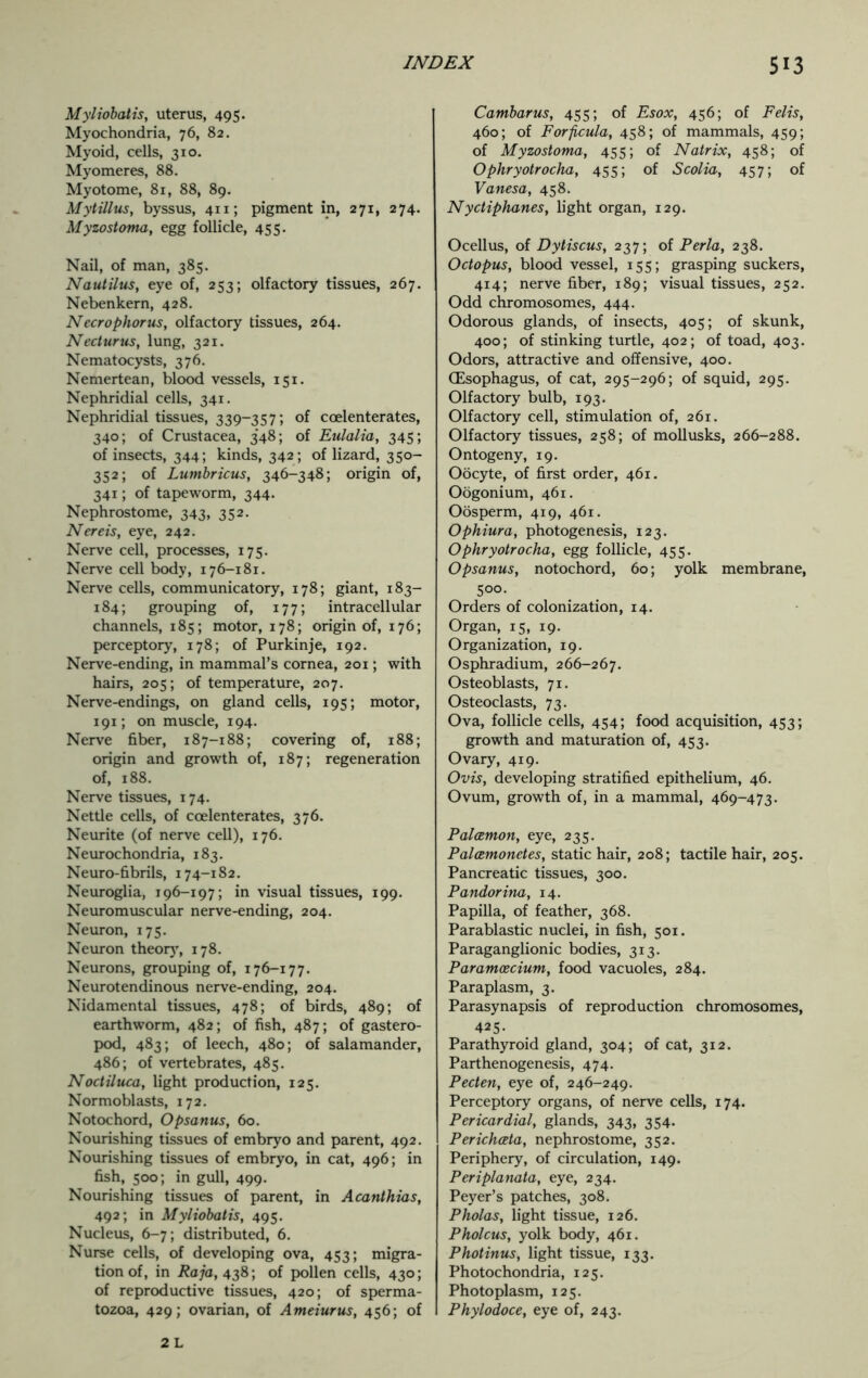 Myliobatis, uterus, 495. Myochondria, 76, 82. Myoid, cells, 310. Myomeres, 88. Myotome, 81, 88, 89. Mytillus, byssus, 411; pigment in, 271, 274. Myzostoma, egg follicle, 455. Nail, of man, 385. Nautilus, eye of, 253; olfactory tissues, 267. Nebenkern, 428. Necrophorus, olfactory tissues, 264. Necturus, lung, 321. Nematocysts, 376. Nemertean, blood vessels, 151. Nephridial cells, 341. Nephridial tissues, 339-357; of coelenterates, 340; of Crustacea, 3*48; of Eulalia, 345; of insects, 344; kinds, 342; of lizard, 350- 352; of Lumbricus, 346-348; origin of, 341; of tapeworm, 344. Nephrostome, 343, 352- Nereis, eye, 242. Nerve cell, processes, 175. Nerve cell body, 176-181. Nerve cells, communicatory, 178; giant, 183- 184; grouping of, 177; intracellular channels, 185; motor, 178; origin of, 176; perceptory, 178; of Pur kin je, 192. Nerve-ending, in mammal’s cornea, 201; with hairs, 205; of temperature, 207. Nerve-endings, on gland cells, 195; motor, 191; on muscle, 194. Nerve fiber, 187-188; covering of, 188; origin and growth of, 187; regeneration of, 188. Nerve tissues, 174. Nettle cells, of coelenterates, 376. Neurite (of nerve cell), 176. Neurochondria, 183. Neuro-fibrils, 174-182. Neuroglia, 196-197; in visual tissues, 199. Neuromuscular nerve-ending, 204. Neuron, 175. Neuron theory, 178. Neurons, grouping of, 176-177. Neurotendinous nerve-ending, 204. Nidamental tissues, 478; of birds, 489; of earthworm, 482; of fish, 487; of gastero- pod, 483; of leech, 480; of salamander, 486; of vertebrates, 485. Noctiluca, light production, 125. Normoblasts, 172. Notochord, Opsanus, 60. Nourishing tissues of embryo and parent, 492. Nourishing tissues of embryo, in cat, 496; in fish, 500; in gull, 499. Nourishing tissues of parent, in Acanthias, 492; in Myliobatis, 495. Nucleus, 6-7; distributed, 6. Nurse cells, of developing ova, 453; migra- tion of, in Raja, 438; of pollen cells, 430; of reproductive tissues, 420; of sperma- tozoa, 429; ovarian, of Ameiurus, 456; of Cambarus, 455; of Esox, 456; of Felis, 460; of Forficula, 458; of mammals, 459; of Myzostoma, 455; of Natrix, 458; of Ophryotrocha, 455; of Scolia, 457; of Vanesa, 458. Nyctiphanes, light organ, 129. Ocellus, of Dytiscus, 237; of Perla, 238. Octopus, blood vessel, 155; grasping suckers, 414; nerve fiber, 189; visual tissues, 252. Odd chromosomes, 444. Odorous glands, of insects, 405; of skunk, 400; of stinking turtle, 402; of toad, 403. Odors, attractive and offensive, 400. (Esophagus, of cat, 295-296; of squid, 295. Olfactory bulb, 193. Olfactory cell, stimulation of, 261. Olfactory tissues, 258; of mollusks, 266-288. Ontogeny, 19. Oocyte, of first order, 461. Oogonium, 461. Oosperm, 419, 461. Ophiura, photogenesis, 123. Ophryotrocha, egg follicle, 455. Opsanus, notochord, 60; yolk membrane, 500. Orders of colonization, 14. Organ, 15, 19. Organization, 19. Osphradium, 266-267. Osteoblasts, 71. Osteoclasts, 73. Ova, follicle cells, 454; food acquisition, 453; growth and maturation of, 453. Ovary, 419. Ovis, developing stratified epithelium, 46. Ovum, growth of, in a mammal, 469-473. Palcemon, eye, 235. Palamonetes, static hair, 208; tactile hair, 205. Pancreatic tissues, 300. Pandorina, 14. Papilla, of feather, 368. Parablastic nuclei, in fish, 501. Paraganglionic bodies, 313. Paramcecium, food vacuoles, 284. Paraplasm, 3. Parasynapsis of reproduction chromosomes, 425- Parathyroid gland, 304; of cat, 312. Parthenogenesis, 474. Pecten, eye of, 246-249. Perceptory organs, of nerve cells, 174. Pericardial, glands, 343, 354. Perichata, nephrostome, 352. Periphery, of circulation, 149. Periplanata, eye, 234. Peyer’s patches, 308. Pholas, light tissue, 126. Pholcus, yolk body, 461. Photinus, light tissue, 133. Photochondria, 125. Photo plasm, 125. Phylodoce, eye of, 243.