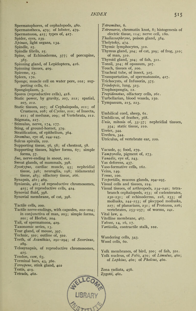 Spermatophores, of cephalopods, 480. Spermatotheca, 479; of lobster, 479. Spermatozoa, 425; types of, 427. Spider, eyes, 239. Spinax, light organs, 134. Spindle, 25. Spindle fibrils, 25. Spine, of Echinoderms, 377; of porcupine, 385- Spinning gland, of Lepidoptera, 416. Spinning tissues, 409. Spireme, 23. Spleen, 170. Sponge, muscle cell on water pore, 102; sup- porting cells, 61. Spongioplasm, 3. Spores (reproductive cells), 418. Static power, by gravity, 207, 212; spatial, 207, 212. Static tissues, 207; of Cephalopoda, 211; of Crustacea, 208; of Cycles, 210; of Insecta, 211; of medusae, 209; of Vertebrata, 212. Stigmata, 227. Stimulus, nerve, 174, 177. Sting, of ground-hornet, 379. Stratification, of epithelium, 364. Strombus, eye of, 244-245. Sulcus spiralis, 222. Supporting tissue, 56, 58; of chestnut, 58. Supporting tissues, higher forms, 67; simple forms, 57. Sus, nerve-ending in snout, 201. Sweat glands, of mammals, 398. Sycotypus, cardiac muscle, 93; nephridial tissue, 346; neuroglia, 198; nidamental tissue, 483; olfactory tissue, 266. Synapsis, 461; 469. Synizesis, 461; of reproductive chromosomes, 425; of reproductive cells, 424. Synovial fluid, 398. Synovial membrane, of cat, 398. Tactile cells, 200. Tactile nerve-endings, with capsules, 202-204; in conjunctiva of man, 203; simple forms, 201; of Herbst, 204. Tail, of spermatozoa, 429. Taxonomic series, 13. Tear gland, of mouse, 397. Technic, 502; outline of, 502. Teeth, of Acanthias, 291-294; of Seserinus, 289. Telosynapsis, of reproductive chromosomes, 425. Tendon, cow, 63. Terminal bars, 43, 360. Terrapene, stink gland, 402 Testis, 419. Tetrads, 462. Tetramitus, 6. Tetronarce, chromatin knot, 8; histogenesis of electric tissue, 114; nerve cell, 180. Thallassophryne, poison gland, 384. Thelytoky, 474. Thymic lymphocytes, 310. Thymus gland, 304; of cat, 309; of frog, 310; of man, 310. Thyroid gland, 304; of fish, 311. Tonsil, 304; Of opossum, 307. Touch, tissues of, 200. Tracheal tube, of insect, 325. Transportation, of spermatozoon, 427. Trichocysts, of Infusoria, 375. Triodopsis, lung, 323. Trophospongia, 12. Tropidonotus, olfactory cells, 261. Turbellarian, blood vessels, 150. Tympanum, 215, 223. Umbilical cord, sheep, 61. Umbilicus, of feather, 368. Unio, mitosis of, 33-37; nephridial tissues, 354; static tissue, 210. Ureter, 344. Urethra, 344. Utriculus, of vertebrate ear, 220. Vacuole, 9; food, 279. Vampyrella, pigment of, 273. Vanadis, eye of, 243. Vas deferens, 437. Vaso-formative cells, 162. Veins, 149. Venus, 100. Vespertillo, mucous glands, 294-295. Visual cells and tissues, 224. Visual tissues, of arthropods, 234-240; tetra- branch cephalopods, 253; of ccelenterates, 230-231; of echinoderms, 228, 233; of mollusks, 244-253; of plecypod mollusks, 227; of planarians, 231; of Protozoa, 226; vertebrates, 253-257; of worms, 241. Vital law, 4. Vitelline membrane, 467. Volvox, 14, 16, 17. Vorticella, contractile stalk, 102. Wandering cells, 343. Wood cells, 60. Yolk membranes, of bird, 500; of fish, 501. Yolk nucleus, of Felis, 470; of Limulus, 460; of Lophius, 460; of Pholcus, 460. Zona radiata, 456. Zygote, 461.