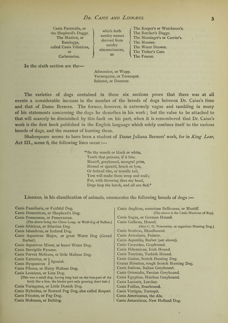 Canis Pastoralis, or >. the Shepherd’s Dogge. The Mastive, or Bandogge, ► called Canis Villaticus, or Carbenarius. > which hath sundry names derived from sundry circumstances, as r The Keeper’s or Watchman’s. The Butcher’s Dogge. The Messinger’s or Carrier’s, -j The Mooner. The Water Drawer. I The Tinker’s Curr. V The Fencer. In the sixth section are the— Admonitor, or Wapp. Vernerpator, or Turnespet. Saltator, or Dauncer. The varieties of dogs contained in these six sections prove that there was at all events a considerable increase in the number of the breeds of dogs between Dr. Caius’s time and that of Dame Berners. The former, however, is extremely vague and rambling in many of his statements concerning the dogs he describes in his work ; but the value to be attached to that will scarcely be diminished by this fault on his part, when it is remembered that Dr. Caius’s work is the first book published in the English language which solely confines itself to the various breeds of dogs, and the manner of hunting them. Shakespeare seems to have been a student of Dame Juliana Berners’ work, for in King Lear, Act III., scene 6, the following lines occur :— “Be thy mouth or black or white, Tooth that poisons, if it bite. Mastiff, greyhound, mongrel grim, Hound or spaniel, brach or lym, Or bobtail tike, or trundle tail, Tom will make them weep and wail; For, with throwing thus my head, Dogs leap the hatch, and all are fled.” Linnaeus, in his classification of animals, enumerates the following breeds of dogs :— Canis Familiaris, or Faithful Dog. Canis Domesticus, or Shepherd’s Dog. Canis Pomeranus, or Pomeranian. (The above being the Chien Loup, or Wolf-dog of Buffon.) Canis Sibiricus, or Siberian Dog. Canis Islandicus, or Iceland Dog. Canis Aquaticus Major, or great Water Dog (Grand Barbet). Canis Aquaticus Minor, or lesser Water Dog. Canis Brevipilis Pyrame. Canis Parvus Melitans, or little Maltese Dog. Canis Extrarius, or ~) _ „ . TT . t Spaniel. Cams Hyspamcus ) 1 Canis Pilosus, or Hairy Maltese Dog. Canis Leoninus, or Lion Dog. (This was a small dog, having long hair on the fore-part of the body like a lion, the hinder part only growing short hair.) Canis Variegatus, or Little Danish Dog. Canis Hybridus, or Bastard Pug Dog, also called Roquet. Canis Fricator, or Pug Dog. Canis Molossus, or Bulldog. Canis Anglicus, sometime Bellicosus, or Mastiff. (The above is the Canis Mastious of Ray). Canis Sagax, or German Hound. Canis Gallicus, Hound. (Also C. G. Venatorius, or sagacious Hunting Dog.) Canis Scoticus, Bloodhound. Canis Avicularis, Pointer. Canis Aquatilis, Barbet (see above). Canis Cursorius, Greyhound. Canis Hibernicus, Irish Hound. Canis Turcicus, Turkish Hound. Canis Graius, Scotch Hunting Dog. Graius Hirsatus, rough Scotch Hunting Dog. Canis Italicus, Italian Greyhound. Canis Orientalis, Persian Greyhound. Canis Egyptius, Hairless Greyhound. Canis Laniaris, Lurcher. Canis Fuillus, Boarhound. Canis Vertigus, Turnspit. Canis Americanus, the Ala. Canis Antarcticus, New Holland Dog.