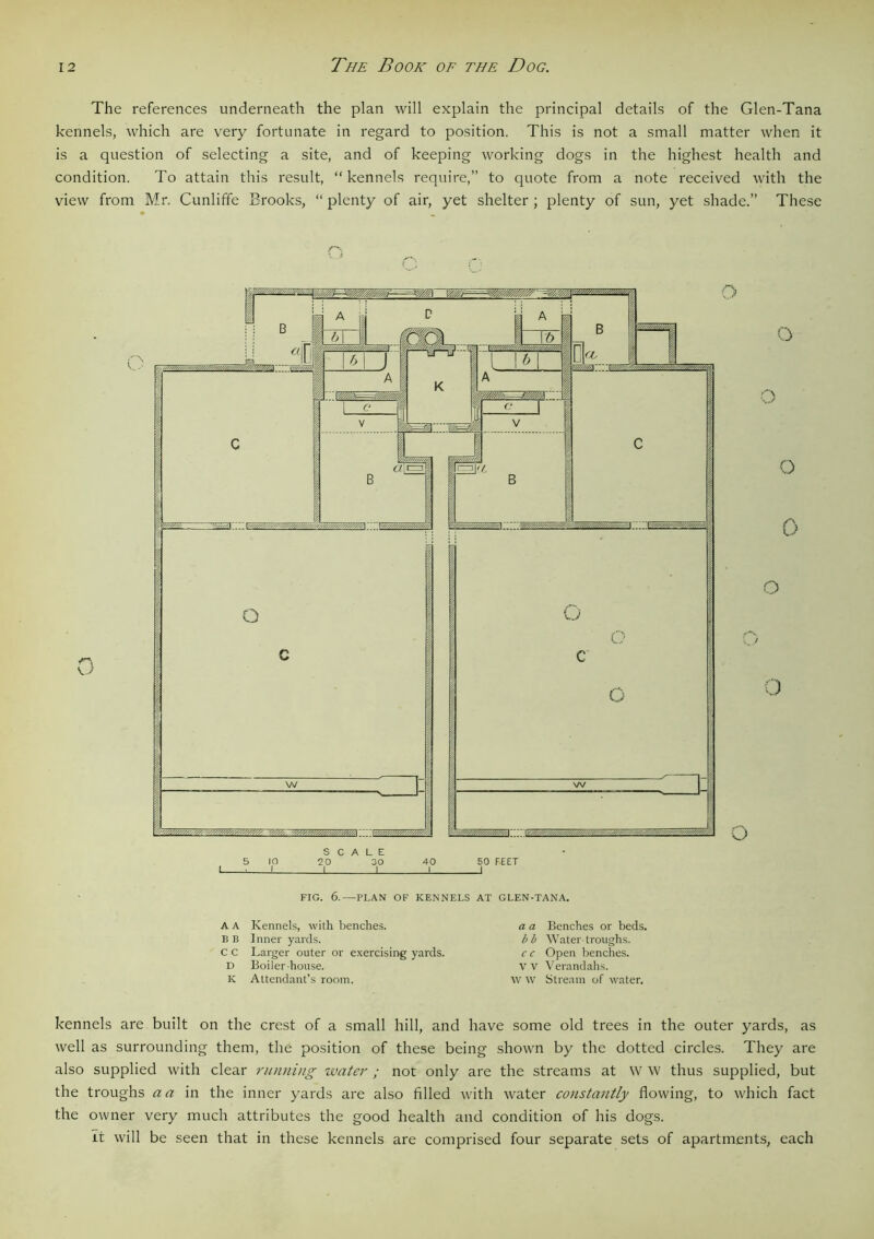 The references underneath the plan will explain the principal details of the Glen-Tana kennels, which are very fortunate in regard to position. This is not a small matter when it is a question of selecting a site, and of keeping working dogs in the highest health and condition. To attain this result, “ kennels require,” to quote from a note received with the view from Mr. Cunliffe Brooks, “ plenty of air, yet shelter ; plenty of sun, yet shade.” These FIG. 6.—PLAN OF KENNELS AT GLEN-TANA. A A Kennels, with benches. B B Inner yards. c c Larger outer or exercising yards. D Boiler-house. K Attendant’s room. a a Benches or beds. bb Water-troughs. cc Open benches. VV Verandahs, w w Stream of water. kennels are built on the crest of a small hill, and have some old trees in the outer yards, as well as surrounding them, the position of these being shown by the dotted circles. They are also supplied with clear running water; not only are the streams at W W thus supplied, but the troughs a a in the inner yards are also filled with water constantly flowing, to which fact the owner very much attributes the good health and condition of his dogs. It will be seen that in these kennels are comprised four separate sets of apartments, each