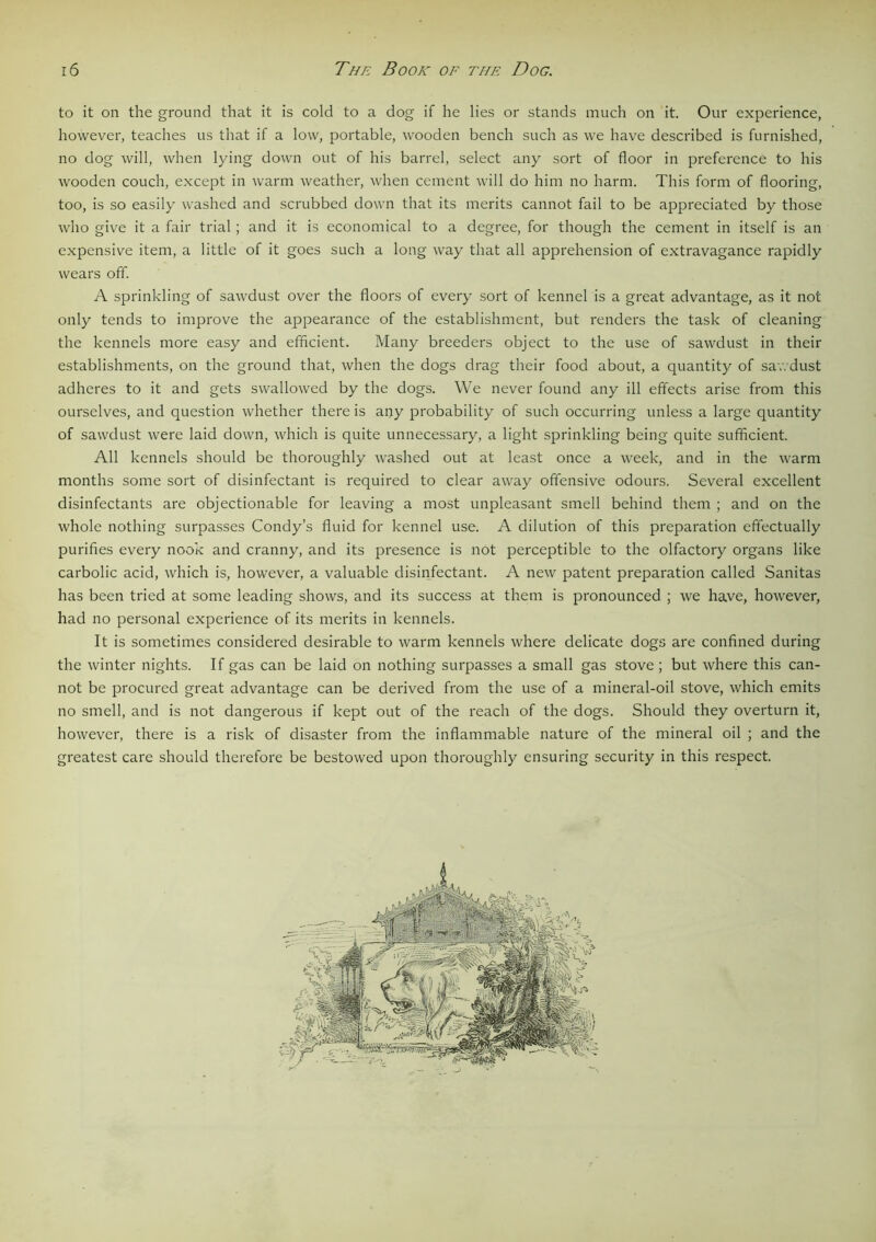 to it on the ground that it is cold to a dog if he lies or stands much on it. Our experience, however, teaches us that if a low, portable, wooden bench such as we have described is furnished, no dog will, when lying down out of his barrel, select any sort of floor in preference to his wooden couch, except in warm weather, when cement will do him no harm. This form of flooring, too, is so easily washed and scrubbed down that its merits cannot fail to be appreciated by those who give it a fair trial; and it is economical to a degree, for though the cement in itself is an expensive item, a little of it goes such a long way that all apprehension of extravagance rapidly wears off. A sprinkling of sawdust over the floors of every sort of kennel is a great advantage, as it not only tends to improve the appearance of the establishment, but renders the task of cleaning the kennels more easy and efficient. Many breeders object to the use of sawdust in their establishments, on the ground that, when the dogs drag their food about, a quantity of sawdust adheres to it and gets swallowed by the dogs. We never found any ill effects arise from this ourselves, and question whether there is any probability of such occurring unless a large quantity of sawdust were laid down, which is quite unnecessary, a light sprinkling being quite sufficient. All kennels should be thoroughly washed out at least once a week, and in the warm months some sort of disinfectant is required to clear away offensive odours. Several excellent disinfectants are objectionable for leaving a most unpleasant smell behind them ; and on the whole nothing surpasses Condy’s fluid for kennel use. A dilution of this preparation effectually purifies every nook and cranny, and its presence is not perceptible to the olfactory organs like carbolic acid, which is, however, a valuable disinfectant. A new patent preparation called Sanitas has been tried at some leading shows, and its success at them is pronounced ; we have, however, had no personal experience of its merits in kennels. It is sometimes considered desirable to warm kennels where delicate dogs are confined during the winter nights. If gas can be laid on nothing surpasses a small gas stove; but where this can- not be procured great advantage can be derived from the use of a mineral-oil stove, which emits no smell, and is not dangerous if kept out of the reach of the dogs. Should they overturn it, however, there is a risk of disaster from the inflammable nature of the mineral oil ; and the greatest care should therefore be bestowed upon thoroughly ensuring security in this respect.