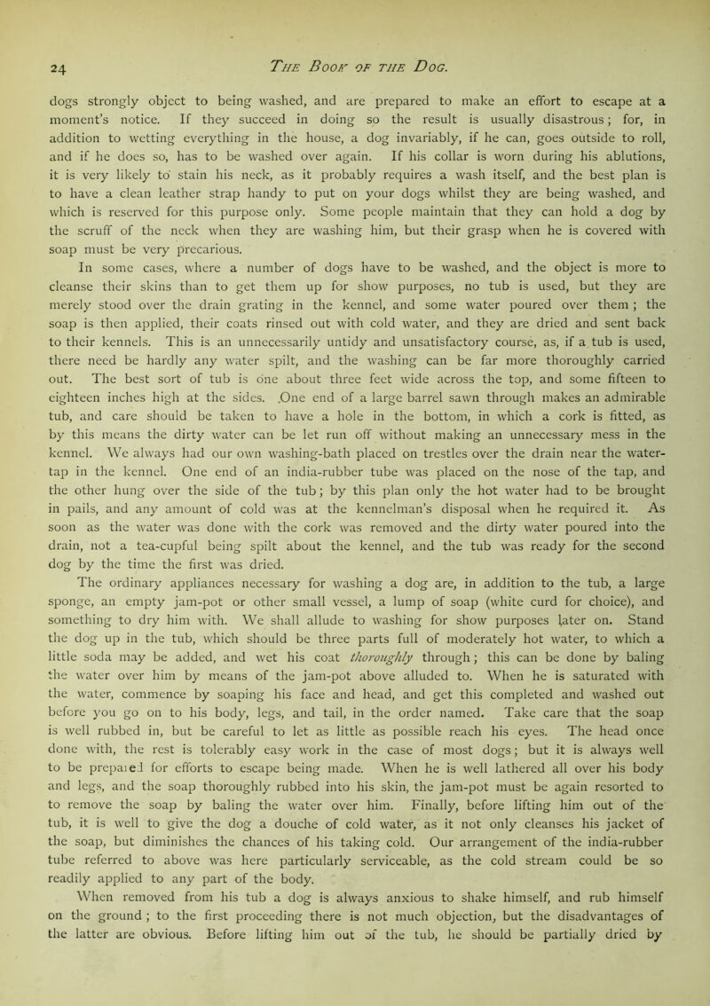 dogs strongly object to being washed, and are prepared to make an effort to escape at a moment’s notice. If they succeed in doing so the result is usually disastrous; for, in addition to wetting everything in the house, a dog invariably, if he can, goes outside to roll, and if he does so, has to be washed over again. If his collar is worn during his ablutions, it is very likely to' stain his neck, as it probably requires a wash itself, and the best plan is to have a clean leather strap handy to put on your dogs whilst they are being washed, and which is reserved for this purpose only. Some people maintain that they can hold a dog by the scruff of the neck when they are washing him, but their grasp when he is covered with soap must be very precarious. In some cases, where a number of dogs have to be washed, and the object is more to cleanse their skins than to get them up for show purposes, no tub is used, but they are merely stood over the drain grating in the kennel, and some water poured over them ; the soap is then applied, their coats rinsed out with cold water, and they are dried and sent back to their kennels. This is an unnecessarily untidy and unsatisfactory course, as, if a tub is used, there need be hardly any water spilt, and the washing can be far more thoroughly carried out. The best sort of tub is one about three feet wide across the top, and some fifteen to eighteen inches high at the sides. .One end of a large barrel sawn through makes an admirable tub, and care should be taken to have a hole in the bottom, in which a cork is fitted, as by this means the dirty water can be let run off without making an unnecessary mess in the kennel. We always had our own washing-bath placed on trestles over the drain near the water- tap in the kennel. One end of an india-rubber tube was placed on the nose of the tap, and the other hung over the side of the tub; by this plan only the hot water had to be brought in pails, and any amount of cold was at the kennelman’s disposal when he required it. As soon as the water was done with the cork was removed and the dirty water poured into the drain, not a tea-cupful being spilt about the kennel, and the tub was ready for the second dog by the time the first was dried. The ordinary appliances necessary for washing a dog are, in addition to the tub, a large sponge, an empty jam-pot or other small vessel, a lump of soap (white curd for choice), and something to dry him with. We shall allude to washing for show purposes (ater on. Stand the dog up in the tub, which should be three parts full of moderately hot water, to which a little soda may be added, and wet his coat thoroughly through; this can be done by baling the water over him by means of the jam-pot above alluded to. When he is saturated with the water, commence by soaping his face and head, and get this completed and washed out before you go on to his body, legs, and tail, in the order named. Take care that the soap is well rubbed in, but be careful to let as little as possible reach his eyes. The head once done with, the rest is tolerably easy work in the case of most dogs; but it is always well to be prepaied for efforts to escape being made. When he is well lathered all over his body and legs, and the soap thoroughly rubbed into his skin, the jam-pot must be again resorted to to remove the soap by baling the water over him. Finally, before lifting him out of the tub, it is well to give the dog a douche of cold water, as it not only cleanses his jacket of the soap, but diminishes the chances of his taking cold. Our arrangement of the india-rubber tube referred to above was here particularly serviceable, as the cold stream could be so readily applied to any part of the body. When removed from his tub a dog is always anxious to shake himself, and rub himself on the ground ; to the first proceeding there is not much objection, but the disadvantages of the latter are obvious. Before lifting him out of the tub, he should be partially dried by