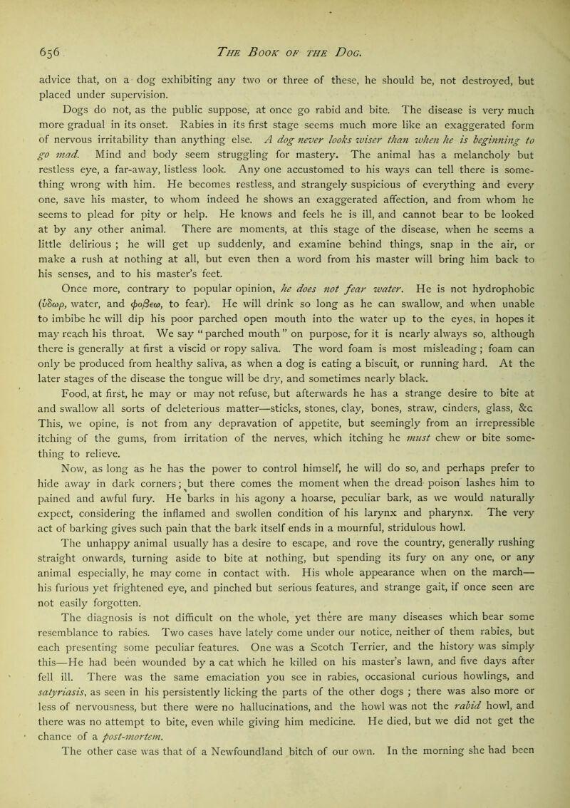 advice that, on a dog exhibiting any two or three of these, he should be, not destroyed, but placed under supervision. Dogs do not, as the public suppose, at once go rabid and bite. The disease is very much more gradual in its onset. Rabies in its first stage seems much more like an exaggerated form of nervous irritability than anything else. A dog never looks zviser than when he is beginning to go mad. Mind and body seem struggling for mastery. The animal has a melancholy but restless eye, a far-away, listless look. Any one accustomed to his ways can tell there is some- thing wrong with him. He becomes restless, and strangely suspicious of everything and every one, save his master, to whom indeed he shows an exaggerated affection, and from whom he seems to plead for pity or help. He knows and feels he is ill, and cannot bear to be looked at by any other animal. There are moments, at this stage of the disease, when he seems a little delirious ; he will get up suddenly, and examine behind things, snap in the air, or make a rush at nothing at all, but even then a word from his master will bring him back to his senses, and to his master’s feet. Once more, contrary to popular opinion, he does not fear water. He is not hydrophobic (vScop, water, and <f)o/3ea>, to fear). He will drink so long as he can swallow, and when unable to imbibe he will dip his poor parched open mouth into the water up to the eyes, in hopes it may reach his throat. We say “ parched mouth ” on purpose, for it is nearly always so, although there is generally at first a viscid or ropy saliva. The word foam is most misleading ; foam can only be produced from healthy saliva, as when a dog is eating a biscuit, or running hard. At the later stages of the disease the tongue will be dry, and sometimes nearly black. Food, at first, he may or may not refuse, but afterwards he has a strange desire to bite at and swallow all sorts of deleterious matter—sticks, stones, clay, bones, straw, cinders, glass, &c This, we opine, is not from any depravation of appetite, but seemingly from an irrepressible itching of the gums, from irritation of the nerves, which itching he must chew or bite some- thing to relieve. Now, as long as he has the power to control himself, he will do so, and perhaps prefer to hide away in dark corners; ^but there comes the moment when the dread poison lashes him to pained and awful fury. He barks in his agony a hoarse, peculiar bark, as we would naturally expect, considering the inflamed and swollen condition of his larynx and pharynx. The very act of barking gives such pain that the bark itself ends in a mournful, stridulous howl. The unhappy animal usually has a desire to escape, and rove the country, generally rushing straight onwards, turning aside to bite at nothing, but spending its fury on any one, or any animal especially, he may come in contact with. His whole appearance when on the march— his furious yet frightened eye, and pinched but serious features, and strange gait, if once seen are not easily forgotten. The diagnosis is not difficult on the whole, yet there are many diseases which bear some resemblance to rabies. Two cases have lately come under our notice, neither of them rabies, but each presenting some peculiar features. One was a Scotch Terrier, and the history was simply this—He had been wounded by a cat which he killed on his master’s lawn, and five days after fell ill. There was the same emaciation you see in rabies, occasional curious howlings, and satyriasis, as seen in his persistently licking the parts of the other dogs ; there was also more or less of nervousness, but there were no hallucinations, and the howl was not the rabid howl, and there was no attempt to bite, even while giving him medicine. He died, but we did not get the chance of a post-mortem. The other case was that of a Newfoundland bitch of our own. In the morning she had been