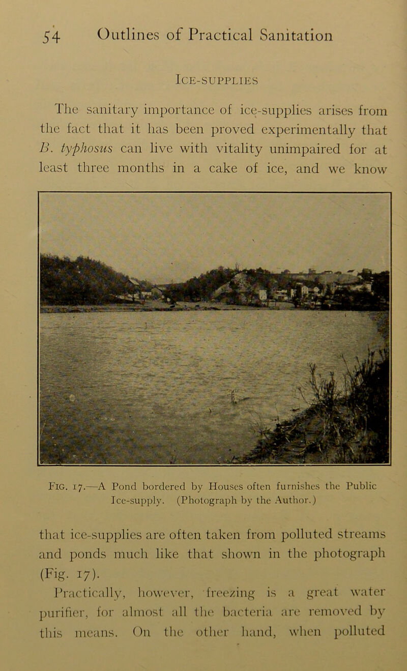 Ice-supplies The sanitary importance of ice-supplies arises from the fact that it has been proved experimentally that B. typhosus can live with vitality unimpaired for at least three months in a cake of ice, and we know Fig. 17.—A Pond bordered by Houses often furnishes the Public Ice-supply. (Photograph by the Author.) that ice-supplies are often taken from polluted streams and ponds much like that shown in the photograph (Fig. 17). Practically, however, freezing is a great water purifier, for almost all the bacteria are removed by this means. On the other hand, when polluted