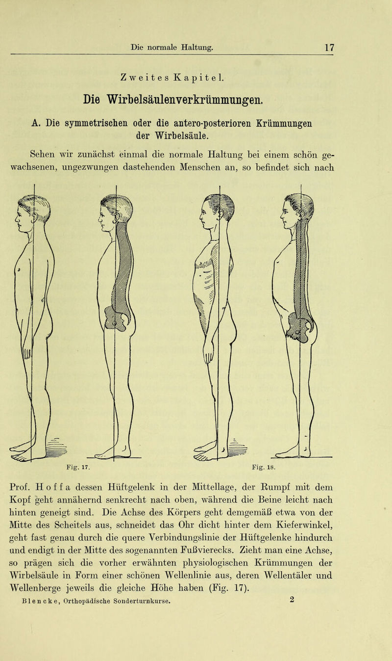 Zweites Kapitel. Die Wirbelsäulenverkrümmungen. A. Die symmetrischen oder die antero-posterioren Krümmungen der Wirbelsäule. Sehen wir zunächst einmal die normale Haltung bei einem schön ge- wachsenen, ungezwungen dastehenden Menschen an, so befindet sich nach Prof. H o f f a dessen Hüftgelenk in der Mittellage, der Kumpf mit dem Kopf geht annähernd senkrecht nach oben, während die Beine leicht nach hinten geneigt sind. Die Achse des Körpers geht demgemäß etwa von der Mitte des Scheitels aus, schneidet das Ohr dicht hinter dem Kieferwinkel, geht fast genau durch die quere Verbindungslinie der Hüftgelenke hindurch und endigt in der Mitte des sogenannten Fußvierecks. Zieht man eine Achse, so prägen sich die vorher erwähnten physiologischen Krümmungen der Wirbelsäule in Form einer schönen Wellenlinie aus, deren Wellentäler und Wellenberge jeweils die gleiche Höhe haben (Fig. 17). Blencke, Orthopädische Sonderturnkurse. 2