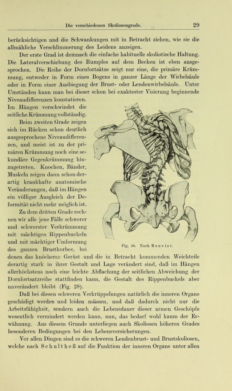 berücksichtigen und die Schwankungen mit in Betracht ziehen, wie sie die allmähliche Verschlimmerung des Leidens anzeigen. Der erste Grad ist demnach die einfache habituelle skoliotische Haltung. Die Lateralverschiebung des Rumpfes auf dem Becken ist eben ausge- sprochen. Die Reihe der Dornfortsätze zeigt nur eine, die primäre Krüm- mung, entweder in Form eines Bogens in ganzer Länge der Wirbelsäule oder in Form einer Ausbiegung der Brust- oder Lendenwirbelsäule. Unter Umständen kann man bei dieser schon bei exaktester Visierung beginnende Niveaudifferenzen konstatieren. Im Hängen verschwindet die seitliche Krümmung vollständig. Beim zweiten Grade zeigen sich im Rücken schon deutlich ausgesprochene Niveaudifferen- zen, und meist ist zu der pri- mären Krümmung noch eine se- kundäre Gegenkrümmung hin- zugetreten. Knochen, Bänder, Muskeln zeigen dann schon der- artig krankhafte anatomische Veränderungen, daß im Hängen ein völliger Ausgleich der De- formität nicht mehr möglich ist. Zu dem dritten Grade rech- nen wir alle jene Fälle schwerer und schwerster Verkrümmung mit mächtigen Rippenbuckeln und mit mächtiger Umformung des ganzen Brustkorbes, bei denen das knöcherne Gerüst und die in Betracht kommenden Weichteile derartig stark in ihrer Gestalt und Lage verändert sind, daß im Hängen allerhöchstens noch eine leichte Abflachung der seitlichen Abweichung der Dornfortsatzreihe stattfinden kann, die Gestalt des Rippenbuckels aber unverändert bleibt (Fig. 28). Daß bei diesen schweren Verkrüppelungen natürlich die inneren Organe geschädigt werden und leiden müssen, und daß dadurch nicht nur die Arbeitsfähigkeit, sondern auch die Lebensdauer dieser armen Geschöpfe wesentlich vermindert werden kann, nun, das bedarf wohl kaum der Er- wähnung. Aus diesem Grunde unterliegen auch Skoliosen höheren Grades besonderen Bedingungen bei den Lebensversicherungen. Vor allen Dingen sind es die schweren Lendenbrust- und Brustskoliosen, welche nach Schultheß auf die Funktion der inneren Organe unter allen