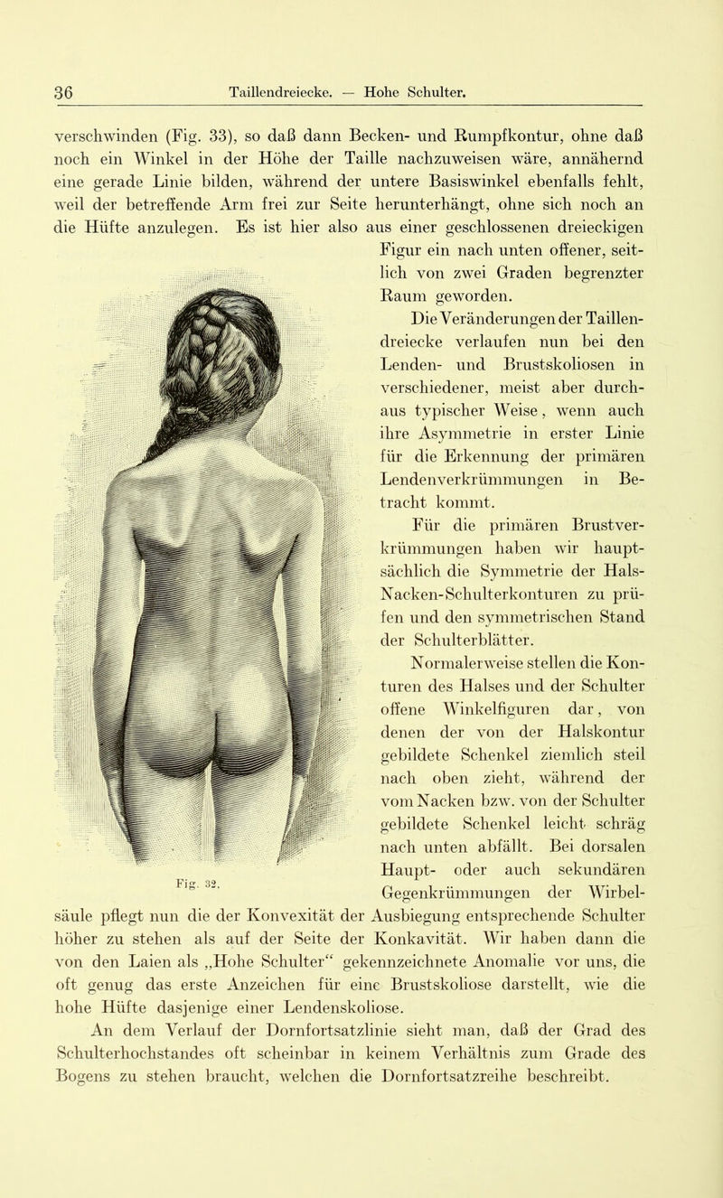 verschwinden (Fig. 33), so daß dann Becken- und Rumpfkontur, ohne daß noch ein Winkel in der Höhe der Taille nachzuweisen wäre, annähernd eine gerade Linie bilden, während der untere Basiswinkel ebenfalls fehlt, weil der betreffende Arm frei zur Seite herunterhängt, ohne sich noch an die Hüfte anzulegen. Es ist hier also aus einer geschlossenen dreieckigen Figur ein nach unten offener, seit- lich von zwei Graden begrenzter Raum geworden. Die Veränderungen der Taillen- dreiecke verlaufen nun bei den Lenden- und Brustskoliosen in verschiedener, meist aber durch- aus typischer Weise, wenn auch ihre Asymmetrie in erster Linie für die Erkennung der primären Lendenverkrümmungen in Be- tracht kommt. Für die primären Brustver- krümmungen haben wir haupt- sächlich die Symmetrie der Hals- Nacken-Schulterkonturen zu prü- fen und den symmetrischen Stand der Schulterblätter. Normalerweise stellen die Kon- turen des Halses und der Schulter offene Winkelfiguren dar, von denen der von der Halskontur gebildete Schenkel ziemlich steil nach oben zieht, während der vom Nacken bzw. von der Schulter gebildete Schenkel leicht schräg nach unten abfällt. Bei dorsalen Haupt- oder auch sekundären Gegenkrümmungen der Wirbel- säule pflegt nun die der Konvexität der Ausbiegung entsprechende Schulter höher zu stehen als auf der Seite der Konkavität. Wir haben dann die von den Laien als „Hohe Schulter“ gekennzeichnete Anomalie vor uns, die oft genug das erste Anzeichen für eine Brustskoliose dar stellt, wie die hohe Hüfte dasjenige einer Lendenskoliose. An dem Verlauf der Dornfortsatzlinie sieht man, daß der Grad des Schulterhochstandes oft scheinbar in keinem Verhältnis zum Grade des Bogens zu stehen braucht, welchen die Dornfortsatzreihe beschreibt.
