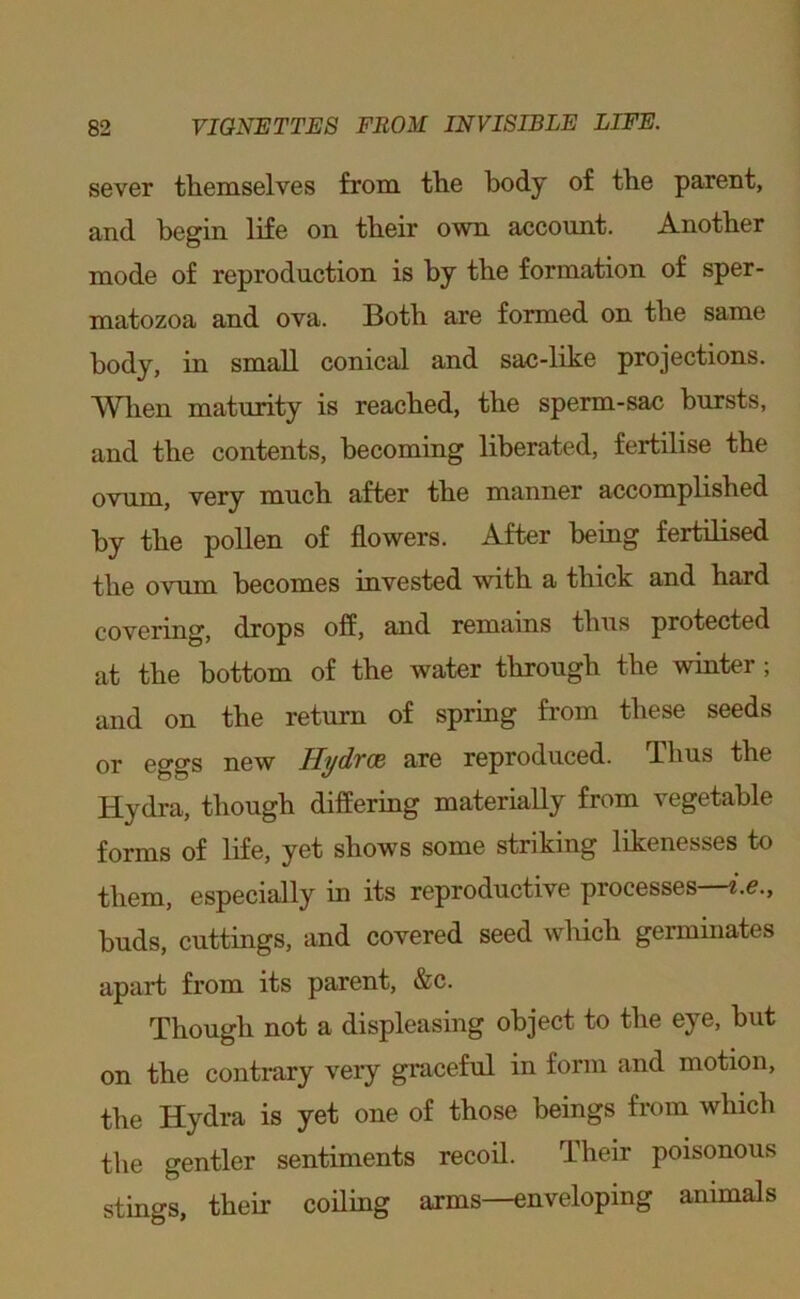 sever themselves from the body of the parent, and begin life on their own account. Another mode of reproduction is by the formation of sper- matozoa and ova. Both are formed on the same body, in small conical and sac-like projections. AVlien maturity is reached, the sperm-sac bursts, and the contents, becoming liberated, fertilise the ovum, very much after the manner accomplished by the pollen of flowers. After being fertilised the ovum becomes invested with a thick and hard covermg, drops off, and remains thus protected at the bottom of the water through the winter; and on the return of spring from these seeds or eggs new H^drce are reproduced. Thus the Hydra, though differing materially from vegetable forms of life, yet shows some striking likenesses to them, especially in its reproductive processes—t.e., buds, cuttings, and covered seed which germinates apart from its parent, &c. Though not a displeasing object to the eye, but on the contrary very graceful in form and motion, the Hydra is yet one of those beings from which the gentler sentiments recoil. Their poisonous stings, their coiling arms—enveloping animals