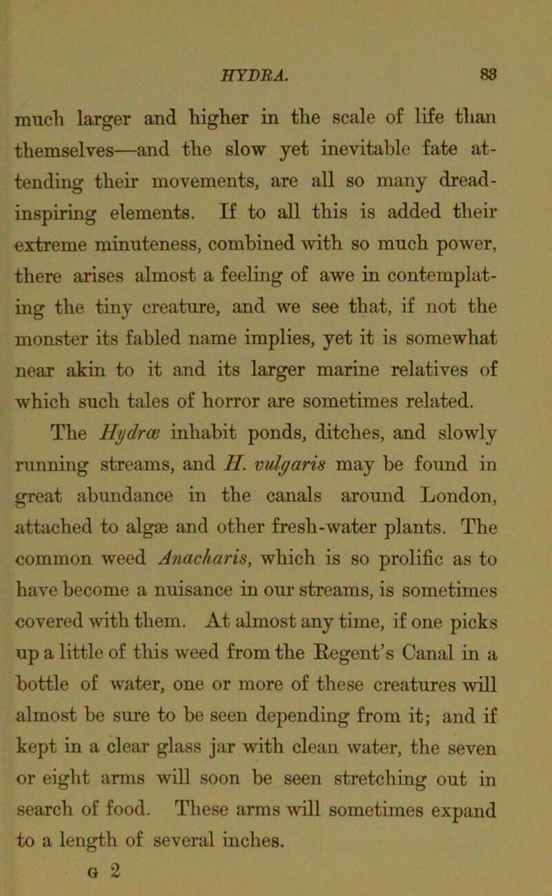 irmcK larger and higher in the scale of life than themselves—and the slow yet inevitable fate at- tending their movements, are all so many dread- inspiring elements. If to all this is added their extreme minuteness, combined with so much power, there arises almost a feeling of awe in contemplat- ing the tiny creature, and we see that, if not the monster its fabled name implies, yet it is somewhat near akin to it and its larger marine relatives of which such tales of horror are sometimes related. The Hydrce inhabit ponds, ditches, and slowly running streams, and H. vulgaris may he found in great abundance in the canals around London, attached to algae and other fresh-water plants. The common weed Anacharis, which is so prolific as to have become a nuisance in our streams, is sometimes covered with them. At almost any time, if one picks up a little of this weed from the Regent’s Canal in a bottle of water, one or more of these creatures will almost he sure to he seen depending from it; and if kept in a clear glass jar with clean water, the seven or eight arms will soon he seen stretching out in search of food. These arms will sometimes expand to a length of several inches. G 2