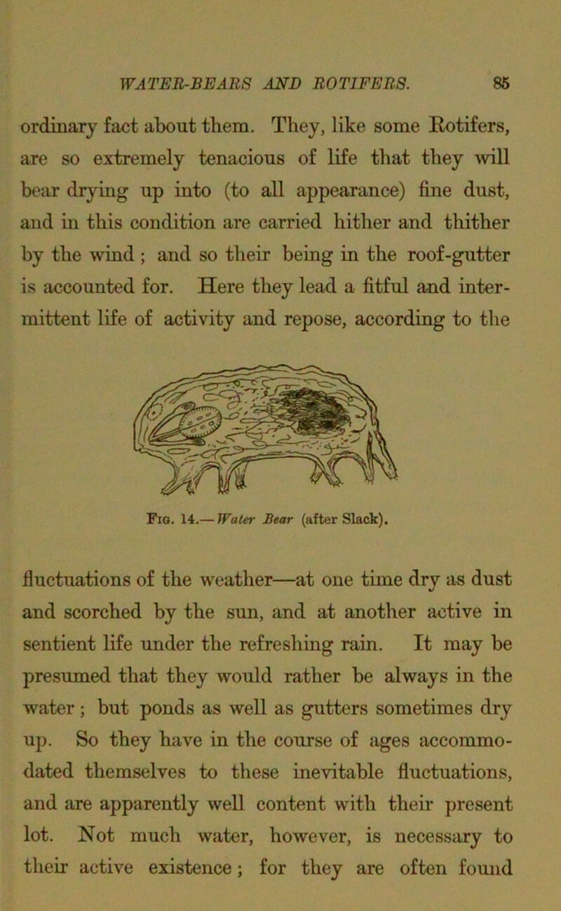 ordinajy fact about tbem. They, like some Eotifers, are so extremely tenacious of life that they will bear drying up into (to all appearance) fine dust, and in this condition are carried hither and thither by the wind ; and so their being in the roof-gutter is accounted for. Here they lead a fitful and inter- mittent life of activity and repose, according to the Fig. 14.— Water Bear (after Slack). fluctuations of the weather—at one time dry as dust and scorched by the sun, and at another active in sentient life under the refreshing rain. It may be presumed that they would rather be always in the water; but ponds as well as gutters sometimes dry up. So they have in the course of ages accommo- dated themselves to these inevitable fluctuations, and are apparently well content with their present lot. Not much water, however, is necessary to their active existence; for they are often fomid