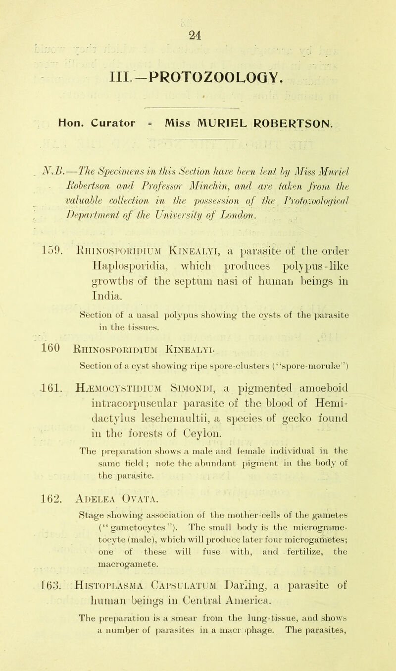 III.—PROTOZOOLOGY. Hon. Curator = Miss MURIEL ROBERTSON. N.B.—The Specimens in this Section have been lent by Miss Muriel Robertson and Professor Minchin, and are taken from the valuable collection in the possession of the r Protozoological Department of the University of London. 159. Ehinospokidium Kinealyi, a parasite of the order Haplosporidia, which produces poly pus-like growths of the septum nasi of human beings in India. Section of a nasal polypus showing the cysts of the parasite in the tissues. 160 Rhinospomdium Kinealyi. Section of a cyst showing ripe spore-clusters (“spore-morulae”) 161. H.EMOCYSTIDIUM Simondi, a pigmented amoeboid intracorpuscular parasite of the blood of Hemi- dactylus lesclienaultii, a species of gecko found in the forests of Ceylon. The preparation shows a male and female individual in the same field; note the abundant pigment in the body of the parasite. 162. Adelea Ovata. Stage showing association of the mother-cells of the gametes (“ gametocytes ”). The small body is the micrograme- tocyte (male), which will produce later four microgametes; one of these will fuse with, and fertilize, the macrogamete. 163. Histoplasma Capsulatum Darling, a parasite of human beings in Central America. The preparation is a smear from the lung-tissue, and shows a number of parasites in a macr >phage. The parasites,