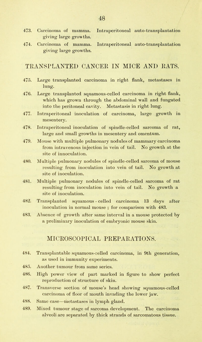 473. Carcinoma of mamma. Intraperitoneal auto-transplantation giving large growths. 474. Carcinoma of mamma. Intraperitoneal auto-transplantation giving large growths. TRANSPLANTED CANCER IN MICE AND RATS. 475. Large transplanted carcinoma in right flank, metastases in lung. 476. Large transplanted squamous-celled carcinoma in right flank, which has grown through the abdominal wall and fungated into the peritoneal cavity. Metastasis in right lung. 477. Intraperitoneal inoculation of carcinoma, large growth in mesentery. 478. Intraperitoneal inoculation of spindle-celled sarcoma of rat, large and small growths in mesentery and omentum. 479. Mouse with multiple pulmonary nodules of mammary carcinoma from intravenous injection in vein of tail. No growth at the site of innoculation. 480. Multiple pulmonary nodules of spindle-celled sarcoma of mouse resulting from inoculation into vein of tail. No growth at site of inoculation. 481. Multiple pulmonary nodules of spindle-celled sarcoma of rat resulting from inoculation into vein of tail. No growth a site of inoculation. 482. Transplanted squamous - celled carcinoma 13 days after inoculation in normal mouse ; for comparison with 483. 483. Absence of growth after same interval in a mouse protected by a preliminary inoculation of embryonic mouse skin. MICROSCOPICAL PREPARATIONS. 484. Transplantable squamous-celled carcinoma, in 9th generation, as used in immunity experiments. 485. Another tumour from same series. 486. High power view of part marked in figure to show perfect reproduction of structure of skin. 487. Transverse section of mouse’s head showing squamous-celled carcinoma of floor of mouth invading the lower jaw. 488. Same case—metastases in lymph gland. 489. Mixed tumour stage of sarcoma development. The carcinoma alveoli are separated by thick strands of sarcomatous tissue.