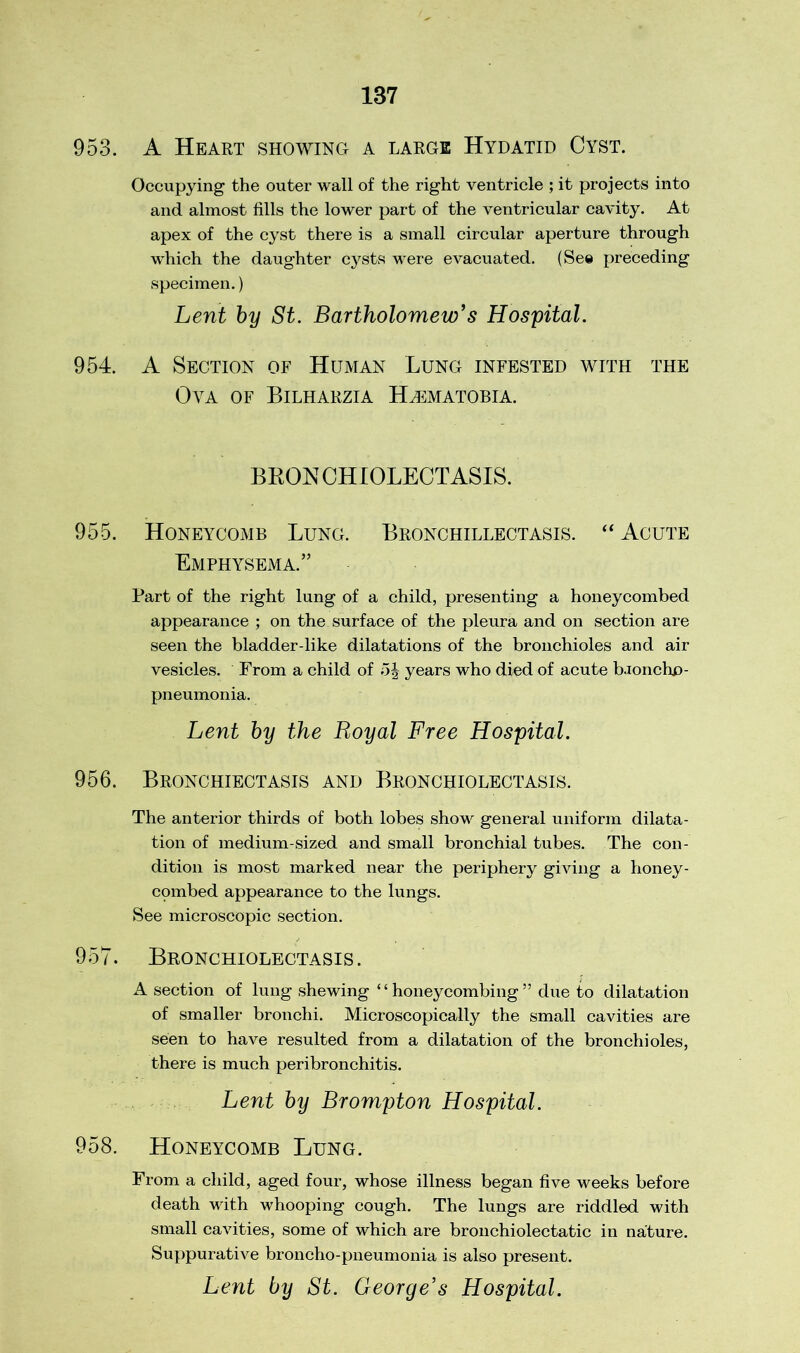 953. A Heart showing a large Hydatid Cyst. Occupying the outer wall of the right ventricle ; it projects into and almost fills the lower part of the ventricular cavity. At apex of the cyst there is a small circular aperture through which the daughter cysts were evacuated. (See preceding specimen.) Lent by St. Bartholomew’s Hospital. 954. A Section of Human Lung infested with the Ova of Bilharzia Hhmatobia. BRON CHIOLECTASIS. 955. Honeycomb Lung. Bronchillectasis. “ Acute Emphysema.” Part of the right lung of a child, presenting a honeycombed appearance ; on the surface of the pleura and on section are seen the bladder-like dilatations of the bronchioles and air vesicles. From a child of oj years who died of acute broncho- pneumonia. Lent by the Royal Free Hospital. 956. Bronchiectasis and Bronchiolectasis. The anterior thirds of both lobes show general uniform dilata- tion of medium-sized and small bronchial tubes. The con- dition is most marked near the periphery giving a honey- cpmbed appearance to the lungs. See microscopic section. 957. Bronchiolectasis. A section of lung shewing “honeycombing” due to dilatation of smaller bronchi. Microscopically the small cavities are seen to have resulted from a dilatation of the bronchioles, there is much peribronchitis. Lent by Brompton Hospital. 958. Honeycomb Lung. From a child, aged four, whose illness began five weeks before death with whooping cough. The lungs are riddled with small cavities, some of which are bronchiolectatic in nature. Suppurative broncho-pneumonia is also present. Lent by St. George’s Hospital.
