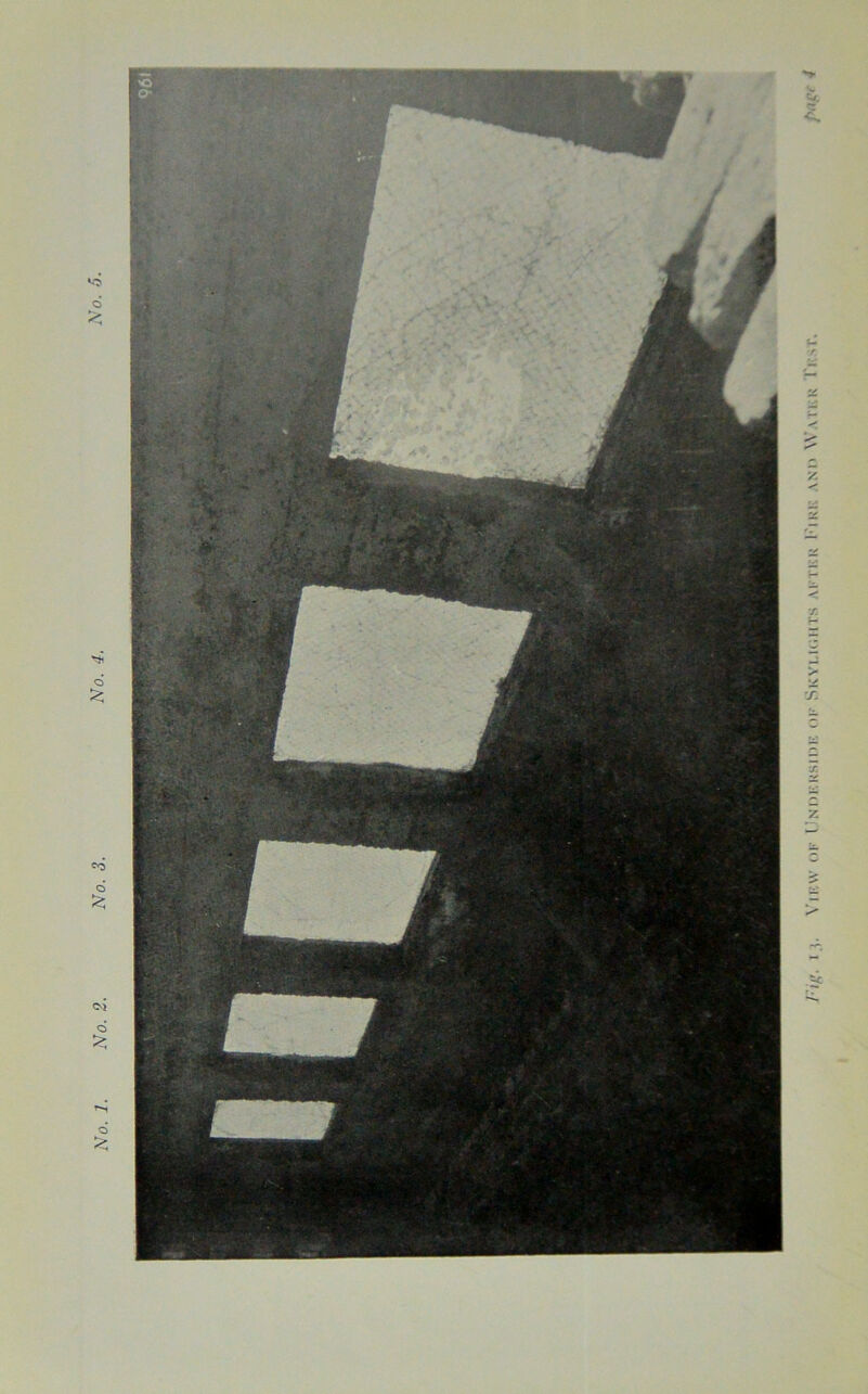 View of Underside of Skylights after Kirk and Water Trsi\ paff
