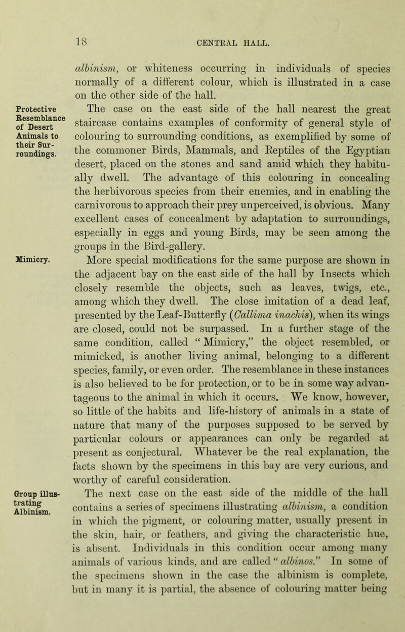 Protective Resemblance of Desert Animals to their Sur- roundings. Mimicry. Group illus- trating Albinism. albinism, or whiteness occurring in individuals of species normally of a different colour, which is illustrated in a case on the other side of the hall. The case on the east side of the hall nearest the great staircase contains examples of conformity of general style of colouring to surrounding conditions, as exemplified by some of the commoner Birds, Mammals, and Beptiles of the Egyptian desert, placed on the stones and sand amid which they habitu- ally dwell. The advantage of this colouring in concealing the herbivorous species from their enemies, and in enabling the carnivorous to approach their prey unperceived, is obvious. Many excellent cases of concealment by adaptation to surroundings, especially in eggs and young Birds, may be seen among the groups in the Bird-gallery. More special modifications for the same purpose are shown in the adjacent bay on the east side of the hall by Insects which closely resemble the objects, such as leaves, twigs, etc., among which they dwell. The close imitation of a dead leaf, presented by the Leaf-Butterfly (Callima inachis), when its wings are closed, could not be surpassed. In a further stage of the same condition, called “ Mimicry,” the object resembled, or mimicked, is another living animal, belonging to a different species, family, or even order. The resemblance in these instances is also believed to be for protection, or to be in some way advan- tageous to the animal in which it occurs. We know, however, so little of the habits and life-history of animals in a state of nature that many of the purposes supposed to be served by particular colours or appearances can only be regarded at present as conjectural. Whatever be the real explanation, the facts shown by the specimens in this bay are very curious, and worthy of careful consideration. The next case on the east side of the middle of the hall contains a series of specimens illustrating albinism, a condition in which the pigment, or colouring matter, usually present in the skin, hair, or feathers, and giving the characteristic hue, is absent. Individuals in this condition occur among many animals of various kinds, and are called “ albinosIn some of the specimens shown in the case the albinism is complete, but in many it is partial, the absence of colouring matter being