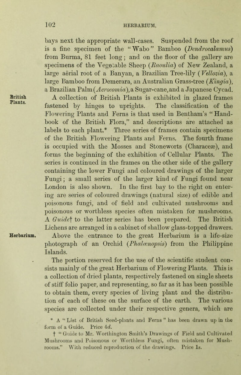 British Plants. Herbarium. bays next the appropriate wall-cases. Suspended from the roof is a fine specimen of the “Wabo” Bamboo (Dcndrocalamus) from Burma, 81 feet long; and on the floor of the gallery are specimens of the Vegetable Sheep (Raoulia) of New Zealand, a large aerial root of a Banyan, a Brazilian Tree-lily (Vellozia), a large Bamboo from Demerara, an Australian Grass-tree (Kingia), a Brazilian Palm (Acrooomici), a Sugar-cane, and a Japanese Cycad. A collection of British Plants is exhibited in glazed frames fastened by hinges to uprights. The classification of the Flowering Plants and Ferns is that used in Bentham’s “ Hand- book of the British Flora,” and descriptions are attached as labels to each plant.* Three series of frames contain specimens of the British Flowering Plants and Ferns. The fourth frame is occupied with the Mosses and Stoneworts (Characese), and forms the beginning of the exhibition of Cellular Plants. The series is continued in the frames on the other side of the gallery containing the lower Fungi and coloured drawings of the larger Fungi; a small series of the larger kind of Fungi found near London is also shown. In the first bay to the right on enter- ing are series of coloured drawings (natural size) of edible and poisonous fungi, and of field and cultivated mushrooms and poisonous or worthless species often mistaken for mushrooms. A Guidet to the latter series has been prepared. The British Lichens are arranged in a cabinet of shallow glass-topped drawers. Above the entrance to the great Herbarium is a life-size photograph of an Orchid (Phalccnopsis) from the Philippine Islands. The portion reserved for the use of the scientific student con- sists mainly of the great Herbarium of Flowering Plants. This is a collection of dried plants, respectively fastened on single sheets of stiff folio paper, and representing, so far as it has been possible to obtain them, every species of living plant and the distribu- tion of each of these on the surface of the earth. The various species are collected under their respective genera, which are * A “List of British Seed-phints and Ferns” has been drawn up in the form of a Guide. Price Ad. t “ Guide to Mr. Worthington Smith’s Drawings of Field and Cultivated Mushrooms and Poisonous or Worthless Fungi, often mistaken for Mush- rooms.” With reduced reproduction of the drawings. Price Is.