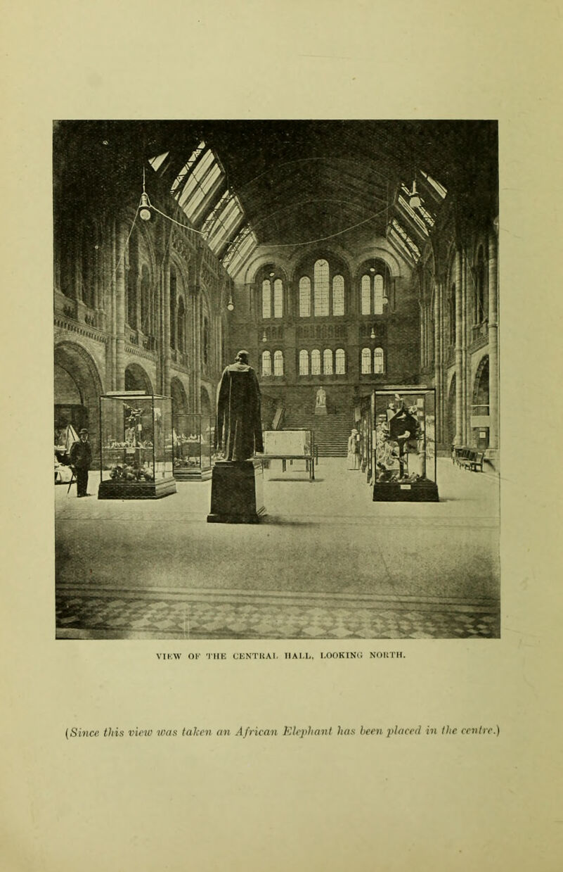 VIEW OK THE CENTRA 1. HALL. LOOKING NORTH. (Since this view was taken an African Elephant has been placed in the centre.)