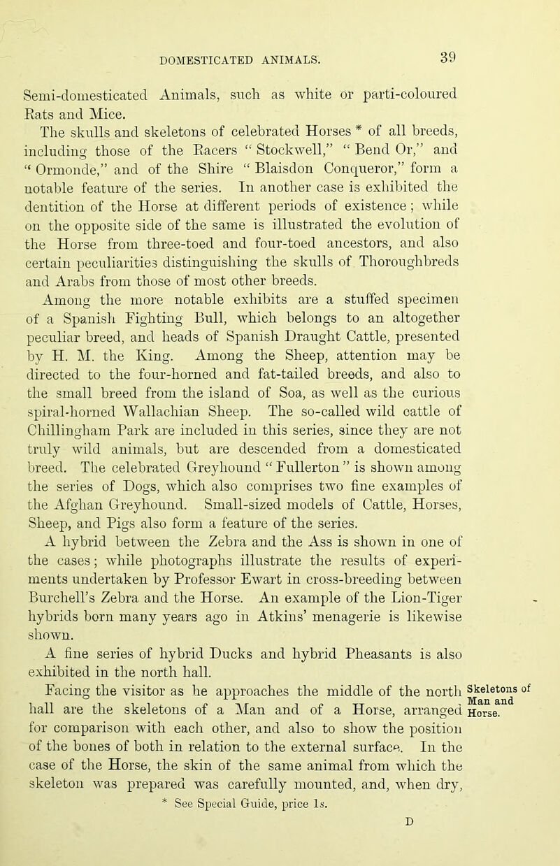 Semi-clomesticated Animals, such as white or parti-coloured Rats and Mice. The skulls and skeletons of celebrated Horses * of all breeds, including those of the Racers “ Stock well,” “ Bend Or,” and “ Ormonde,” and of the Shire “ Blaisdon Conqueror,” form a notable feature of the series. In another case is exhibited the dentition of the Horse at different periods of existence; while on the opposite side of the same is illustrated the evolution of the Horse from three-toed and four-toed ancestors, and also certain peculiarities distinguishing the skulls of Thoroughbreds and Arabs from those of most other breeds. Among the more notable exhibits are a stuffed specimen of a Spanish Fighting Bull, which belongs to an altogether peculiar breed, and heads of Spanish Draught Cattle, presented by H. M. the King. Among the Sheep, attention may be directed to the four-horned and fat-tailed breeds, and also to the small breed from the island of Soa, as well as the curious spiral-horned Wallacliian Sheep. The so-called wild cattle of Chillingham Park are included in this series, since they are not truly wild animals, but are descended from a domesticated breed. The celebrated Greyhound “ Fullerton ” is shown among the series of Dogs, which also comprises two fine examples of the Afghan Greyhound. Small-sized models of Cattle, Horses, Sheep, and Pigs also form a feature of the series. A hybrid between the Zebra and the Ass is shown in one of the cases; while photographs illustrate the results of experi- ments undertaken by Professor Ewart in cross-breeding between Burchell’s Zebra and the Horse. An example of the Lion-Tiger hybrids born many years ago in Atkins’ menagerie is likewise shown. A fine series of hybrid Ducks and hybrid Pheasants is also exhibited in the north hall. Facing the visitor as he approaches the middle of the north hall are the skeletons of a Man and of a Horse, arranged for comparison with each other, and also to show the position of the bones of both in relation to the external surface. In the case of the Horse, the skin of the same animal from which the skeleton was prepared was carefully mounted, and, when dry, * See Special Guide, price Is. Skeletons of Man and Horse. D