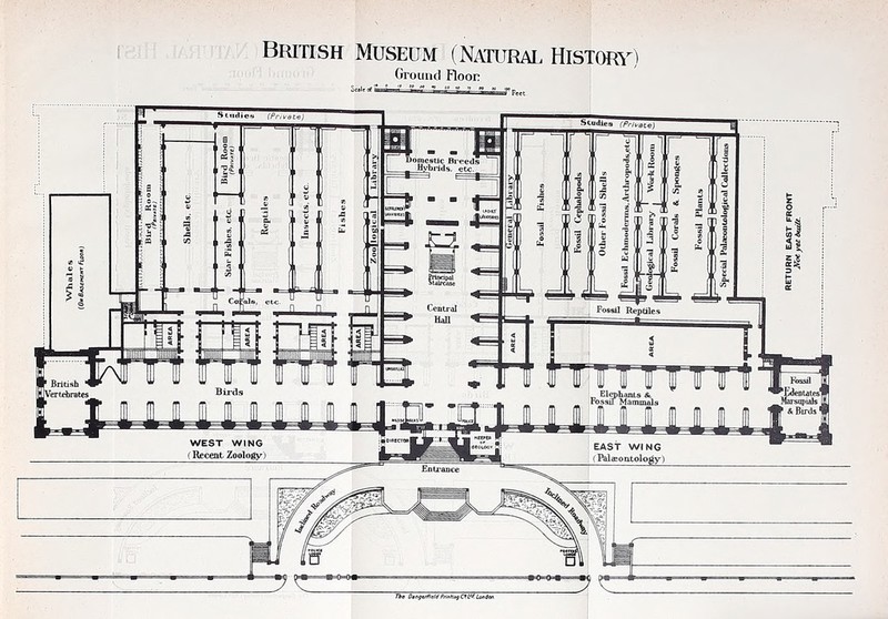 British Museum (Natural History) Ground Floor