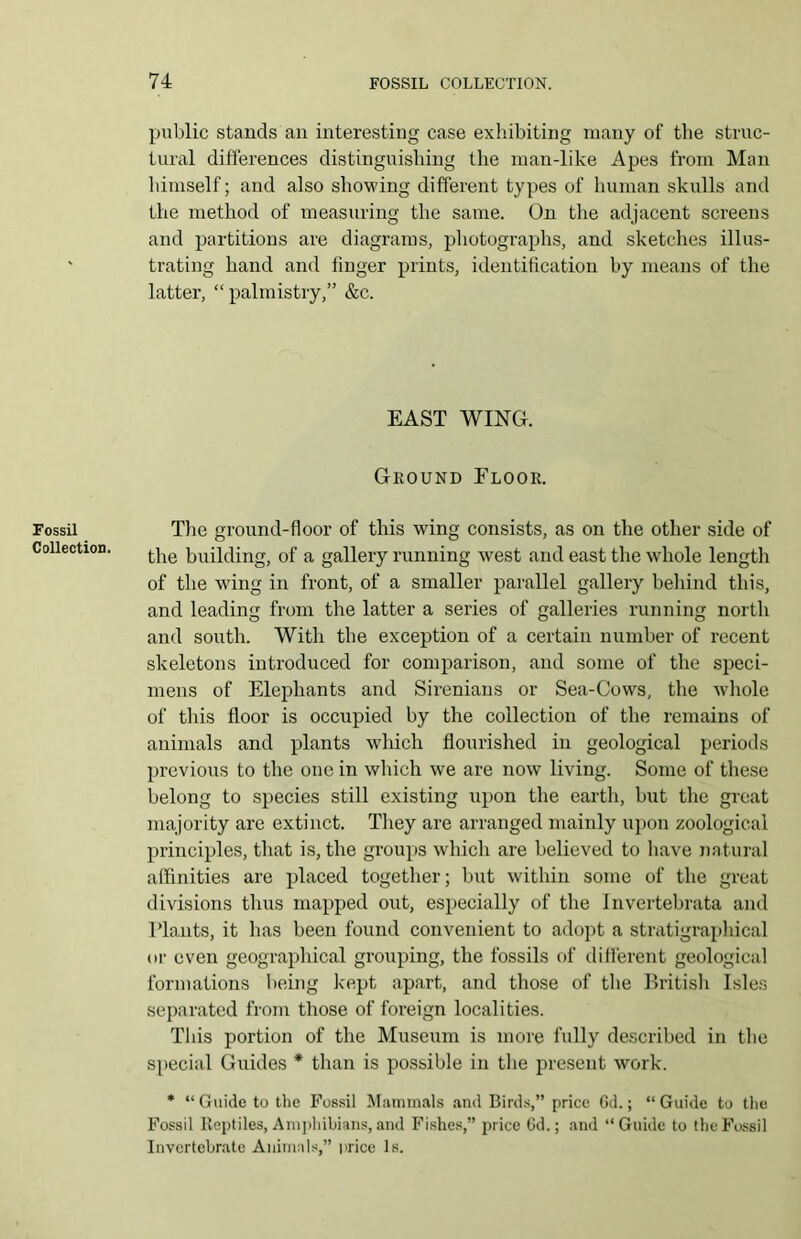 Fossil Collection. public stands an interesting case exhibiting many of the struc- tural differences distinguishing the man-like Apes from Man himself; and also showing different types of human skulls and the method of measuring the same. On the adjacent screens and partitions are diagrams, photographs, and sketches illus- trating hand and finger prints, identification by means of the latter, “ palmistry,” &c. EAST WING. Ground Floor. The ground-floor of this wing consists, as on the other side of the building, of a gallery running west and east the whole length of the wing in front, of a smaller parallel gallery behind this, and leading from the latter a series of galleries running north and south. With the exception of a certain number of recent skeletons introduced for comparison, and some of the speci- mens of Elephants and Sirenians or Sea-Cows, the whole of this floor is occupied by the collection of the remains of animals and plants which flourished in geological periods previous to the one in which we are now living. Some of these belong to species still existing upon the earth, but the great majority are extinct. They are arranged mainly upon zoological principles, that is, the groups which are believed to have natural affinities are placed together; but within some of the great divisions thus mapped out, especially of the Invertebrata and Plants, it has been found convenient to adopt a stratigrapliical or even geographical grouping, the fossils of different geological formations being kept apart, and those of the British Isles separated from those of foreign localities. This portion of the Museum is more fully described in the special Guides * than is possible in the present work. * “ Guide to the Fossil Mammals and Birds,” price 6d.; “ Guide to the Fossil Reptiles, Amphibians, and Fishes,” price Gd.; and “Guide to the Fossil Invertebrate Animals,” price Is.