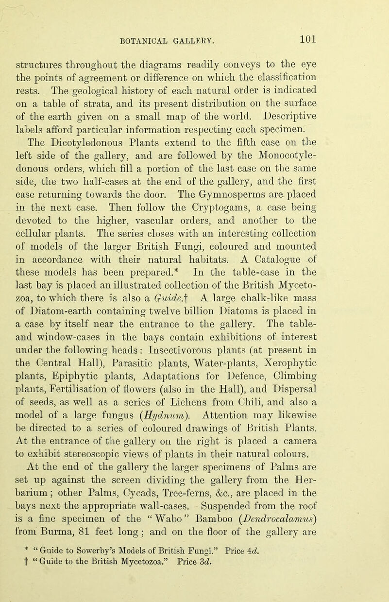 structures throughout the diagrams readily conveys to the eye the points of agreement or difference on which the classification rests. The geological history of each natural order is indicated on a table of strata, and its present distribution on the surface of the earth given on a small map of the world. Descriptive labels afford particular information respecting each specimen. The Dicotyledonous Plants extend to the fifth case on the left side of the gallery, and are followed by the Monocotyle- donous orders, which fill a portion of the last case on the same side, the two half-cases at the end of the gallery, and the first case returning towards the door. The Gymnosperms are placed in the next case. Then follow the Cryptogams, a case being devoted to the higher, vascular orders, and another to the cellular plants. The series closes with an interesting collection of models of the larger British Fungi, coloured and mounted in accordance with their natural habitats. A Catalogue of these models has been prepared.* In the table-case in the last bay is placed an illustrated collection of the British Myceto- zoa, to which there is also a Guide.| A large chalk-like mass of Diatom-earth containing twelve billion Diatoms is placed in a case by itself near the entrance to the gallery. The table- and window-cases in the bays contain exhibitions of interest under the following heads : Insectivorous plants (at present in the Central Hall), Parasitic plants, Water-plants, Xerophytic plants, Epiphytic plants, Adaptations for Defence, Climbing plants, Fertilisation of flowers (also in the Hall), and Dispersal of seeds, as well as a series of Lichens from Chili, and also a model of a large fungus (Hydmtm). Attention may likewise be directed to a series of coloured drawings of British Plants. At the entrance of the gallery on the right is placed a camera to exhibit stereoscopic views of plants in their natural colours. At the end of the gallery the larger specimens of Palms are set up against the screen dividing the gallery from the Her- barium ; other Palms, Cycads, Tree-ferns, &c., are placed in the bays next the appropriate wall-cases. Suspended from the roof is a fine specimen of the “ Wabo ” Bamboo (Dcndrocalarnus) from Burma, 81 feet long; and on the floor of the gallery are * “Guide to Sowerby’s Models of British Fungi.” Price 4d. f “ Guide to the British Mycetozoa.” Price 3d.
