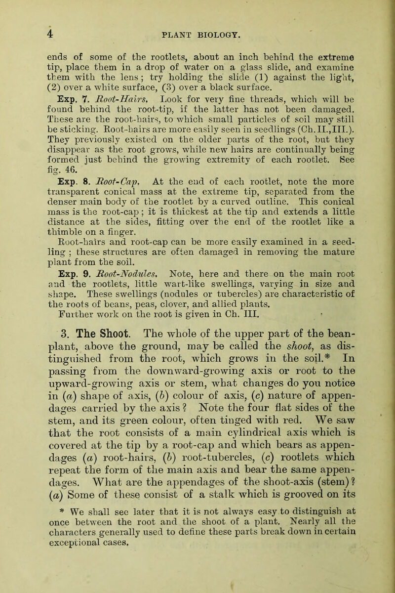 ends of some of the rootlets, about an inch behind the extreme tip, place them in a drop of water on a glass slide, and examine them with the lens ; try holding the slide (1) against the light, (2) over a white surface, (3) over a black surface. Exp. 7. Root-Hairs. Look for very fine threads, which will be found behind the root-tip, if the latter has not been damaged. These are the root-hairs, to which small particles of soil may still be sticking. Root-hairs are more easily seen in seedlings (Ch.II.,III.). They previously existed on the older parts of the root, but they disappear as the root grows, while new hairs are continually being formed just behind the growing extremity of each rootlet. Bee fig. 46. Exp. 8. Root-Caii. At the end of each rootlet, note the more transparent conical mass at the extreme tip, separated from the denser main body of the rootlet by a curved outline. This conical mass is the root-cap ; it is thickest at the tip and extends a little distance at the sides, fitting over the end of the rootlet like a thimble on a finger. Root-hairs and root-cap can be more easily examined in a seed- ling ; these structures are often damaged in removing the mature plant from the soil. Exp. 9. Root-Nodules. Note, here and there on the main root and the rootlets, little wart-like swellings, varying in size and shape. These swellings (nodules or tubercles) are characteristic of the roots of beans, peas, clover, and allied plants. Further work on the root is given in Ch. III. 3. The Shoot. The whole of the upper part of the bean- plant, above the ground, may be called the shoot, as dis- tinguished from the root, which grows in the soil.* In passing from the downward-growing axis or root to the upward-growing axis or stem, what changes do you notice in (a) shape of axis, (b) colour of axis, (c) nature of appen- dages carried by the axis ? Note the four flat sides of the stem, and its green colour, often tiuged with red. We saw that the root consists of a main cylindrical axis which is covered at the tip by a root-cap and which bears as appen- dages (a) root-hairs, (b) root-tubercles, (c) rootlets which repeat the form of the main axis and bear the same appen- dages. What are the appendages of the shoot-axis (stem) ? (a) Some of these consist of a stalk which is grooved on its * We shall see later that it is not always easy to distinguish at once between the root and the shoot of a plant. Nearly all the characters generally used to define these parts break down in certain exceptional cases.