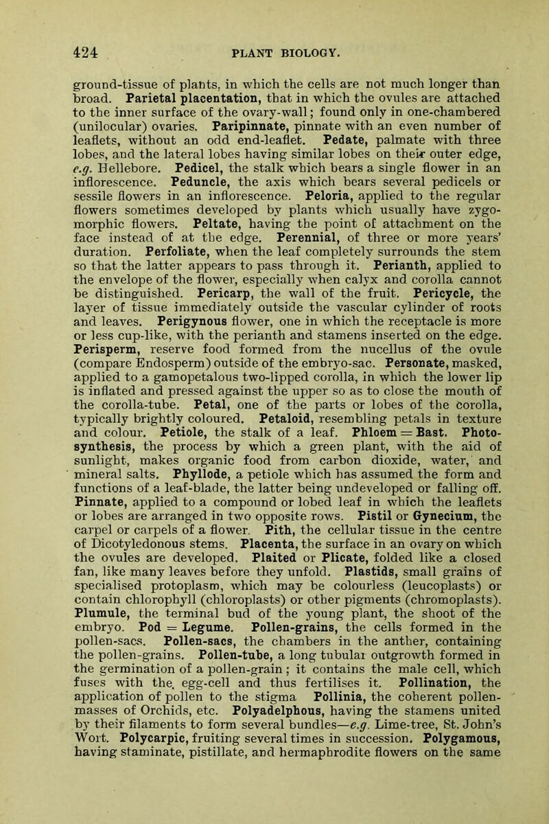 ground-tissue of plants, in which the cells are not much longer than broad. Parietal placentation, that in which the ovules are attached to the inner surface of the ovary-wall; found only in one-chambered (unilocular) ovaries. Paripinnate, pinnate with an even number of leaflets, without an odd end-leaflet. Pedate, palmate with three lobes, and the lateral lobes having similar lobes on their outer edge, e.g. Hellebore. Pedicel, the stalk which bears a single flower in an inflorescence. Peduncle, the axis which bears several pedicels or sessile flowers in an inflorescence. Peloria, applied to the regular flowers sometimes developed by plants which usually have zygo- morphic flowers. Peltate, having the point of attachment on the face instead of at the edge. Perennial, of three or more years’ duration. Perfoliate, when the leaf completely surrounds the stem so that the latter appears to pass through it. Perianth, applied to the envelope of the flower, especially when calyx and corolla cannot be distinguished. Pericarp, the wall of the fruit. Pericycle, the layer of tissue immediately outside the vascular cylinder of roots and leaves. Perigynous flower, one in which the receptacle is more or less cup-like, with the perianth and stamens inserted on the edge. Perisperm, reserve food formed from the nucellus of the ovule (compare Endosperm) outside of the embryo-sac. Personate, masked, applied to a gamopetalous two-lipped corolla, in which the lower lip is inflated and pressed against the upper so as to close the mouth of the corolla-tube. Petal, one of the parts or lobes of the corolla, typically brightly coloured. Petaloid, resembling petals in texture and colour. Petiole, the stalk of a leaf. Phloem = Bast. Photo- synthesis, the process by which a green plant, with the aid of sunlight, makes organic food from carbon dioxide, water, and mineral salts. Phyllode, a petiole which has assumed the form and functions of a leaf-blade, the latter being undeveloped or falling off. Pinnate, applied to a compound or lobed leaf in which the leaflets or lobes are arranged in two opposite rows. Pistil or Gynecium, the carpel or carpels of a flower. Pith, the cellular tissue in the centre of Dicotyledonous stems. Placenta, the surface in an ovary on which the ovules are developed. Plaited or Plicate, folded like a closed fan, like many leaves before they unfold. Plastids, small grains of specialised protoplasm, which may be colourless (leucoplasts) or contain chlorophyll (chloroplasts) or other pigments (chromoplasts). Plumule, the terminal bud of the young plant, the shoot of the embryo. Pod = Legume. Pollen-grains, the cells formed in the pollen-sacs. Pollen-sacs, the chambers in the anther, containing the pollen-grains. Pollen-tube, a long tubular outgrowth formed in the germination of a pollen-grain ; it contains the male cell, which fuses with the. egg-cell and thus fertilises it. Pollination, the application of pollen to the stigma Pollinia, the coherent pollen- masses of Orchids, etc. Polyadelphous, having the stamens united by their filaments to form several bundles—e.g. Lime-tree, St. John’s Wort. Polycarpic, fruiting several times in succession. Polygamous, having staminate, pistillate, and hermaphrodite flowers on the same