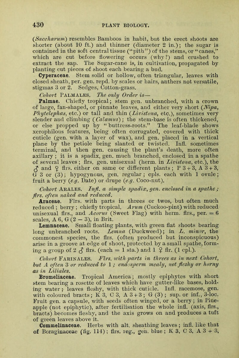 (Saccliarum) resembles Bamboos in habit, but the erect shoots are shorter (about 10 ft.) and thinner (diameter 2 in.); the sugar is contained in the soft central tissue (“pith”) of the stems, or “canes,” which are cut before flowering occurs (why?) and crushed to extract the sap. The Sugar-cane is, in cultivation, propagated by planting cut pieces of shoot each bearing a bud. Cyperaceae. Stem solid or hollow, often triangular, leaves with closed sheath, per. geu. repd. by scales or hairs, anthers not versatile, stigmas 3 or 2. Sedges, Cotton-grass. Cohort Palmales. The only Order is— Palmae. Chiefly tropical; stem gen. unbranched, with a crown of large, fan-shaped, or pinnate leaves, and either very short (Nipa, Phytelephas, etc.) or tall and thin (Livistuna, etc.), sometimes very slender and climbing (Calamus); the stem-base is often thickened, or else propped up by “ buttress-roots.” The leaf-blade shows xerophilous features, being often corrugated, covered with thick cuticle (gen. with a layer of wax), and gen. placed in a vertical plane by the petiole being slanted or twisted. lull, sometimes terminal, and then gen. causing the plant’s death, more often axillary ; it is a spadix, gen. much branched, enclosed in a spathe of several leaves ; firs. gen. unisexual (herm. in Livistona, etc.), the (-£ and <j! firs, either on same or different plants ; P 3 + 3, A 3 + 3, G 3 or (3); hypogynous, gen. regular ; cpls. each with 1 ovule; fruit a berry (e.y. Date) or drupe (e.g. Coco-nut). Cohort AraleS. Infl. a simple spadix, gen. enclosed in a spathe ; firs, often nahed and reduced. Araceae. Firs, with parts in threes or twos, but often much reduced; berry; chiefly tropical. Arum (Cuckoo-pint) with reduced unisexual firs., and Acorns (Sweet Flag) with herm. firs., per. = 6 scales, A 6, G (2 — 3), in Brit. Lemnaceae. Small floating plants, with green flat shoots bearing long unbranched roots. Leinna (Duckweed); in L. minor, the commonest species, the firs, (often produced but inconspicuous) arise in a groove at edge of shoot, protected by a small spathe, form- ing a group of 2 $ firs, (each = 1 sta.) and 1 ? fir. (1 cpl.). Cohort Farinales. Firs, vAth parts in threes as in next Cohort, hvt A often 3 or reduced to 1; endosperm mealy, not fleshy or horny as in Liliales. Bromeliaceae. Tropical America; mostly epiphytes with short stem bearing a rosette of leaves which have gutter-like bases, hold- ing water ; leaves fleshy, with thick cuticle. Infl. racemose, gen. with coloured bracts; K 3, C 3, A 3 + 3 ; G (3) ; sup. or inf., 3-loc. Fruit gen. a capsule, with seeds often winged, or a berry ; in Pine- apple (not epiphytic), after fertilisation the whole infl. (axis, firs., bracts) becomes fleshy, and the axis grows on and produces a tuft of green leaves above it. Commelinaceae. Herbs with alt. sheathing leaves ; infl. like that of Boraginaceae (fig. 114) ; firs, reg., gen. blue ; K 3, C 3, A 3 + 3,