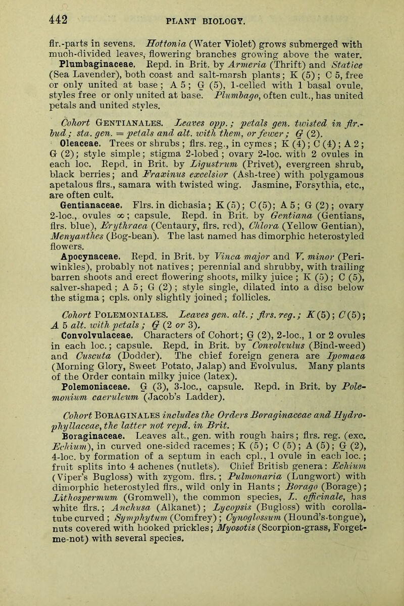 flr.-parts in sevens. Hottonia (Water Violet) grows submerged with much-divided leaves, flowering branches growing above the water. Plumbaginaceae. Repd. in Brit, by Armeria (Thrift) and Statice (Sea Lavender), both coast and salt-marsh plants; K (5) ; C 5, free or only united at base ; A 5 ; G (5), 1-celled with 1 basal ovule, styles free or only united at base. Plumbago, often cult., has united petals and united styles. Cohort Gentianales. Leaves opp.; petals gen. twisted in fir.- bud ; sta. gen. — petals and alt. loith them, or fewer; G (2). Oleaceae. Trees or shrubs ; firs, reg., in cymes ; K (4) ; C (4) ; A 2 ; G (2); style simple; stigma 2-lobed ; ovary 2-loc. with 2 ovules in each loc. Bepd. in Brit, by Ligustrum (Privet), evergreen shrub, black berries; and Fraxinus excelsior (Ash-tree) with polygamous apetalous firs., samara with twisted wing. Jasmine, Forsvthia, etc., are often cult. Gentianaceae. Firs, in dichasia; K(o); C(5); A 5; G (2); ovary 2-loc., ovules oo; capsule. Kepd. in Brit, by Gentiana (Gentians, firs, blue), Frythraea (Centaury, firs, red), Chlora (Yellow Gentian), Menyanthes (Bog-bean). The last named has dimorphic heterostyled flowers. Apocynaceae. Repd. in Brit, by Vinca major and V. minor (Peri- winkles), probably not natives; perennial and shrubby, with trailing barren shoots and erect flowering shoots, milky juice ; K (5) ; C (5), salver-shaped ; A 5; G (2) ; style single, dilated into a disc below the stigma ; cpls. only slightly joined ; follicles. Cohort PolemonialeS. Leaves gen. alt.; firs, reg.; K(5) ; C(5); A 5 alt. with petals ; G (2 or 3). Convolvulaceae. Characters of Cohort; G (2), 2-loc., 1 or 2 ovules in each loc.; capsule. Kepd. in Brit, by Convolvulus (Bind-weed) and Cvscuta (Dodder). The chief foreign genera are Ipomaea (Morning Glory, Sweet Potato, Jalap) and E volvulus. Many plants of the Order contain milky juice (latex). Polemoniaceae. G (3), 3-loc., capsule. Kepd. in Brit, by Pole- monium caeruleum (Jacob’s Ladder). Cohort Boraginales includes the Orders Boragvnaceae and Ilydro- phyllaceae, the latter not repd. in Brit. Boraginaceae. Leaves alt., gen. with rough hairs; firs. reg. (exc. Ecliiuvi), in curved one-sided racemes; K (5) ; C (5) ; A (5) ; G (2), 4-loc. by formation of a septum in each cpl., 1 ovule in each loc.; fruit splits into 4 achenes (nutlets). Chief British genera: Echium (Viper’s Bugloss) with zygom. firs.; Pulnionaria (Lungwort) with dimorphic heterostyled firs., wild only in Hants ; Borago (Borage) ; Lithospermum (Gromwell), the common species, Z. officinale, has white firs.; Anclivsa (Alkanet); Lycopsis (Bugloss) with corolla- tube curved ; Symphytum (Comfrey) ; Cynoglossvni (Hound’s-tongue), nuts covered with hooked prickles; Myosotis (Scorpion-grass, Forget- me-not) with several species.