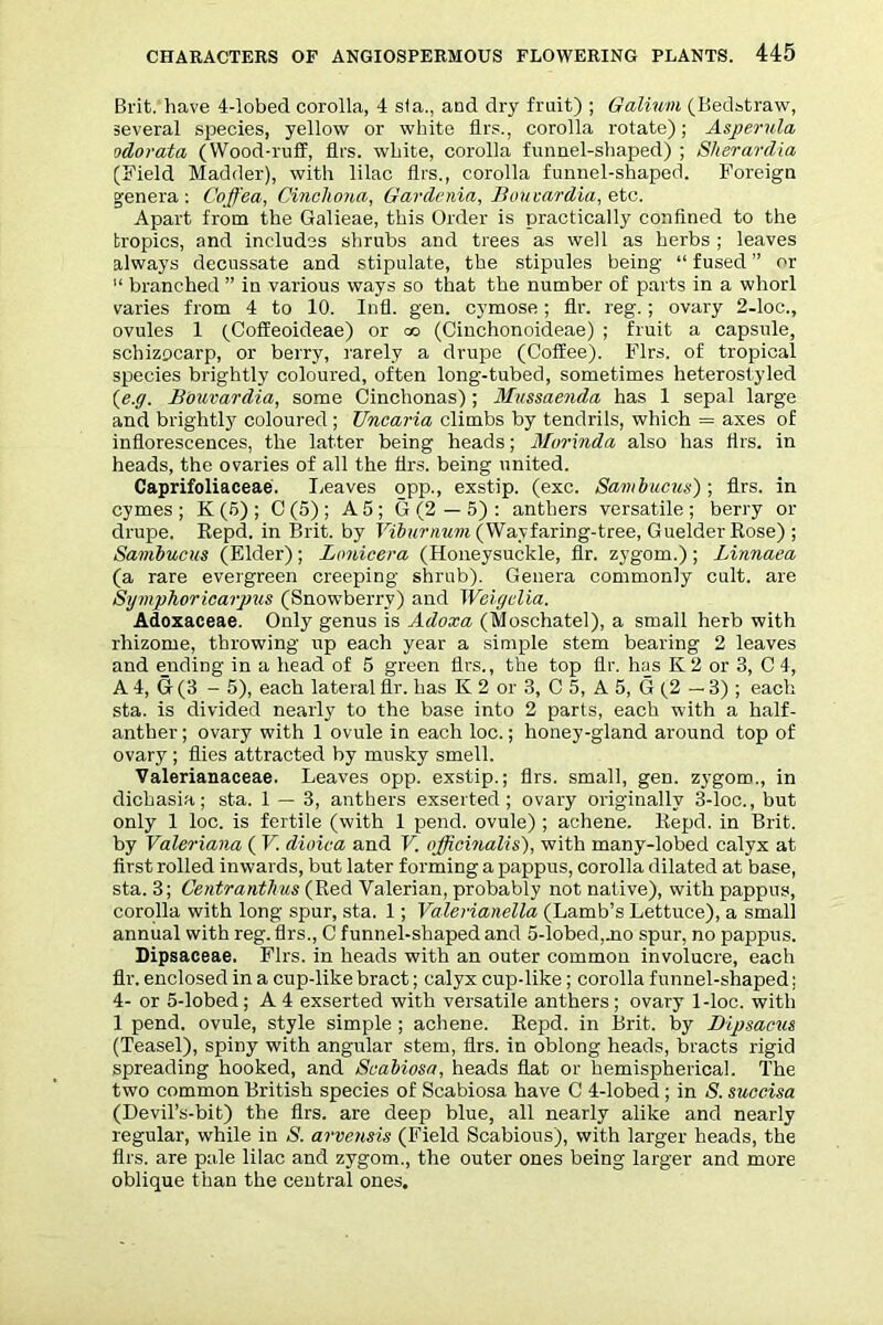 Brit, have 4-lobed corolla, 4 sla., and dry fruit) ; Galium (Bedstraw, several species, yellow or white firs., corolla rotate); Asperula odorata (Wood-ruff, flrs. white, corolla funnel-shaped) ; Sherardia (Field Madder), with lilac firs., corolla funnel-shaped. Foreign genera : Coffea, Cinchona, Gardenia, Bouvardia, etc. Apart from the Galieae, this Order is practically confined to the tropics, and includes shrubs and trees as well as herbs ; leaves always decussate and stipulate, the stipules being “ fused ” or 11 branched ” in various ways so that the number of parts in a whorl varies from 4 to 10. Infl. gen. cymose ; fir. leg.; ovary 2-loc., ovules 1 (CofEeoideae) or co (Cinchonoideae) ; fruit a capsule, schizocarp, or berry, rarely a drupe (Coffee). Firs, of tropical species brightly coloured, often long-tubed, sometimes heterostyled (e.g. Bouvardia, some Cinchonas); Mussaenda has 1 sepal large and brightly coloured ; Uncaria climbs by tendrils, which = axes of inflorescences, the latter being heads; Morinda also has firs, in heads, the ovaries of all the firs, being united. Caprifoliaceae. I,eaves opp., exstip. (exc. Sambucus) ; firs, in cymes; K (5) ; C (5) ; A5; G (2 — 5) : anthers versatile; berry or drupe. Repd. in Brit, by Viburnum (Wayfaring-tree, Guelder Rose) ; Sambucus (Elder); Lonicera (Honeysuckle, fir. zygom.); Linnaea (a rare evergreen creeping shrub). Genera commonly cult, are Symphoricavpus (Snowberry) and Weigclia. Adoxaceae. Only genus is Adoxa (Moschatel), a small herb with rhizome, throwing up each year a simple stem bearing 2 leaves and ending in a head of 5 green firs., the top Hr. has K 2 or 3, C 4, A 4, G (3 - 5), each lateral fir. has K 2 or 3, C 5, A 5, G (2 — 3) ; each sta. is divided nearly to the base into 2 parts, each with a half- anther ; ovary with 1 ovule in each loc.; honey-gland around top of ovary ; flies attracted by musky smell. Valerianaceae. Leaves opp. exstip.; firs, small, gen. zygom., in dichasia; sta. 1 — 3, anthers exserted; ovary originally 3-loc., but only 1 loc. is fertile (with 1 pend, ovule) ; achene. Repd. in Brit, by Valeriana ( V. dioica and V. officinalis'), with many-lobed calyx at first rolled inwards, but later forming a pappus, corolla dilated at base, sta. 3; Centranthus (Red Valerian, probably not native), with pappus, corolla with long spur, sta. 1; Valerianella (Lamb’s Lettuce), a small annual with reg. firs., C funnel-shaped and 5-lobed,jno spur, no pappus. Dipsaceae. Firs, in heads with an outer common involucre, each fir. enclosed in a cup-like bract; calyx cup-like; corolla funnel-shaped; 4- or 5-lobed; A 4 exserted with versatile anthers ; ovary 1-loc. with 1 pend, ovule, style simple ; achene. Repd. in Brit, by Dipsacus (Teasel), spiny with angular stem, firs, in oblong heads, bracts rigid spreading hooked, and Scabiosa, heads flat or hemispherical. The two common British species of Scabiosa have G 4-lobed ; in S. succisa (Devil’s-bit) the firs, are deep blue, all nearly alike and nearly regular, while in S. arvensis (Field Scabious), with larger heads, the firs, are pale lilac and zygom., the outer ones being larger and more oblique than the central ones.