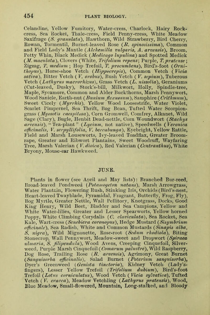 Celandine, Yellow Fumitory, Water-cress, Charlock, Hairy Rock- cress, Sea Rocket, Thale-cress, Field Penny-cress, White Meadow Saxifrage (S. granvlata), Hawthorn, Wild Strawberry, Bird Cherry, Rowan, Tormentil, Burnet-leaved Rose (if. spinosissima), Common and Field Lady’s Mantle (Alchemilla vulgaris, A. arvensis), Broom, Petty Whin, Black Medick (Medicago lupulina) and Spotted Medick (M. maculata), Clovers (White, Trifolium repens; Purple, T.pratense; Zigzag, T. medium ; Hop Trefoil, T. procumbens), Bird’s-foot (Orni- thopus), Horse-shoe Vetch (Hippocrcpis), Common Vetch (Vicia sativa), Bitter Vetch ( V. orobus), Bush Vetch ( V. sepium), Tuberous Vetch (Lathyrus macrorhizus). Grass Vetch (L. nissolia), Geraniums (Cut-leaved, Dusky), Stork’s-bill, Milkwort, Holly, Spindle-tree, Maple, Sycamore, Common and Alder Buckthorns, Marsh Pennywort, Wood Sanicle, Earth-nut (Bxmium ftexuosum), Samphire ( Crithmum), Sweet Cicely (Myrrhis), Yellow Wood Loosestrife, Water Violet, Scarlet Pimpernel, Sea Thrift, Bog Bean, Tufted Water Scorpion- grass (Mgosotis caespitusa), Corn Gromwell, Comfrey, Alkanet, Wild Sage (Clary), Bugle, Henbit Dead-nettle, Corn Woundwort (Stachys ai-vensis), “'Tea-plant” (Lycium, not native), Speedwells (Veronica officinalis, V. serpyllifolia, V. beccabvnga), Eyebright, Yellow Rattle, Field and Marsh Louseworts, Ivy-leaved Toadflax, Greater Broom- rape, Greater and Ribwort Plantains, Sweet Woodruff, Wayfaring Tree, Marsh Valerian ( V.dioica), Red Valerian ( Centranthus), White Bryony, Mouse-ear Hawkweed. JUNE. Plants in flower (see April and May lists): Branched Bur-reed, Broad-leaved l’ondweed (Potamogeton natans), Marsh Arrowgrass, Water Plantain, Flowering Rush, Stinking Iris, Orchids (Bird’s-nest, Heart-leaved Twayblade, Pyramidal, Fragrant, Butterfly, Frog, Fly), Bog Myrtle, Greater Nettle, Wail Pellitory, Knotgrass, Docks, Good King Henry, Wild Beet, • Bladder and Sea Campions, Yellow and White Water-lilies, Greater and Lesser Speanvorts, Yellow horned Poppy, White Climbing Corydalis (C. claviculata), Sea Rocket, Sea Kale, Wart-cress (Senebiera coronojms). Hedge Mustard (Sisymbrium officinale), Sea Radish, White and Common Mustards (Sinapis alba, S. nigra). Wild Mignonette, Rose-root (Scdum rhudiola), Biting Stonecrop, Wall Pennywort, Meadow-sweet and Dropwort (Spiraea -ulmaria, S. flipendula), Vfood Avens, Creeping Cinquefoil, Silver- weed, Purple Marsh Cinquefoil (Comarumpalustre), Wild Raspberry, Dog Rose, Trailing Rose (if. arvensis), Agrimony, Great Burnet (Sanguisorba officinalis), Salad Burnet (Poterium sanguisorba), Dyer’s Greenweed (Genista tinctoria), Kidney Vetch (Lady’s- fingers), Lesser Y'ellow Trefoil (Trifolium dubium), Bird’s-foot Trefoil (Lotus corniculatus), Wood Vetch ( Vicia sylvatiea), Tufted Vetch ( V. cracca), Meadow Vetchling (Lathyrus pratensis), Wood, Blue Meadow, Small-flowered, Mountain, Long-stalked, and Bloody