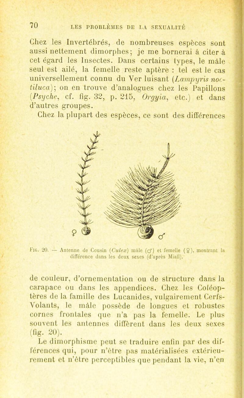 Chez les Invertébrés, de nombreuses espèces sont aussi nettement dimorphes; je me bornerai à citer à cet égard les Insectes. Dans certains types, le mâle seul est ailé, la femelle reste aptère : tel est le cas universellement connu du Ver luisant (Lampyris noc- tiluca); on en trouve d’analogues chez les Papillons (Psyché, cf. Fig. 32, p. 215, Orgyia, etc.) et dans d’autres groupes. Chez la plupart des espèces, ce sont des différences Fig. 20. — Antenne de Cousin (Culex) mâle (cT) et femelle ($), montrant la différence dans les deux sexes (d’après Miall). de couleur, d’ornementation ou de structure dans la carapace ou dans les appendices. Chez les Coléop- tères de la famille des Lucanides, vulgairement Cerfs- Volants, le mâle possède de longues et robustes cornes frontales que n’a pas la femelle. Le plus souvent les antennes diffèrent dans les deux sexes (fig. 20). Le dimorphisme peut se traduire enfin par des dif- férences qui, pour n’être pas matérialisées extérieu- rement et n’étre perceptibles que pendant la vie, n’en