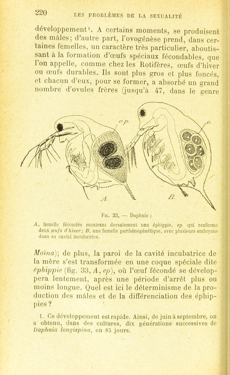 développement1. A certains moments, se produisent des mâles; d’autre part, l’ovogénèse prend, dans cer- taines femelles, un caractère très particulier, aboutis- sant à la formation d’œufs spéciaux fécondables, que l’on appelle, comme chez les Rotifères, œufs d’hiver ou œufs durables. Ils sont plus gros et plus foncés, et chacun d’eux, pour se former, a absorbé un grand nombre d’ovules frères (jusqu’à 47, dans le genre Fig. 33. — Daphnie : A, femelle fécondée montrant dorsalement une éphippie, ep qui renferme deux œufs d'hiver; B, une femelle parthénogénétique, avec plusieurs embryons dans sa cavité incubatrice. Moïna); de plus, la paroi de la cavité incubatrice de la mère s’est transformée en une coque spéciale dite éphippie (fig. 33, A, ep), où l’œuf fécondé se dévelop- pera lentement, après une période d’arrêt plus ou moins longue. Quel est ici le déterminisme de la pro- duction des mâles et de la différenciation des éphip- pies ? 1. Ce développement est rapide. Ainsi, do juin à septembre, on a obtenu, dans des cultures, dix générations successives de Üaphnia longispina, en 83 jours.