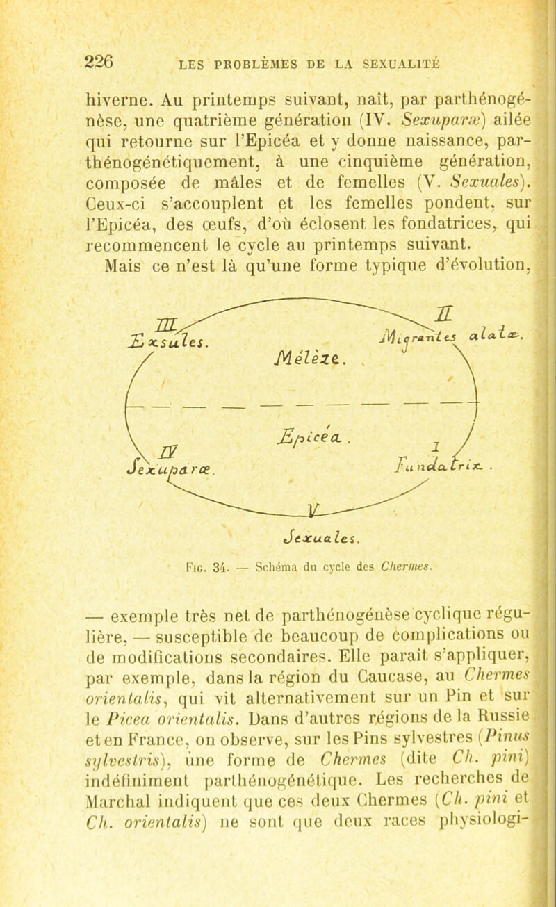 hiverne. Au printemps suivant, naît, par parthénoge- nèse, une quatrième génération (IV. Sexuparæ) ailée qui retourne sur l’Epicéa et y donne naissance, par- thénogénétiquement, à une cinquième génération, composée de mâles et de femelles (V. Sexucdes). Ceux-ci s’accouplent et les femelles pondent, sur l’Epicéa, des œufs, d’où éclosent les fondatrices, qui recommencent le cycle au printemps suivant. Mais ce n’est là qu’une forme typique d’évolution, - — exemple très net de parthénogénèse cyclique régu- lière, — susceptible de beaucoup de complications ou de modifications secondaires. Elle paraît s’appliquer, par exemple, dans la région du Caucase, au Chermes orientalis, qui vit alternativement sur un Pin et sur le Picea orientalis. Dans d’autres régions de la Russie et en France, on observe, sur les Pins sylvestres (P inus sylvestris), une forme de Chermes (dite Ch. pini) indéfiniment parthénogénétique. Les recherches de Marchai indiquent que ces deux Chermes {Ch. pini et Ch. orientalis) ne sont que deux races physioiogi-