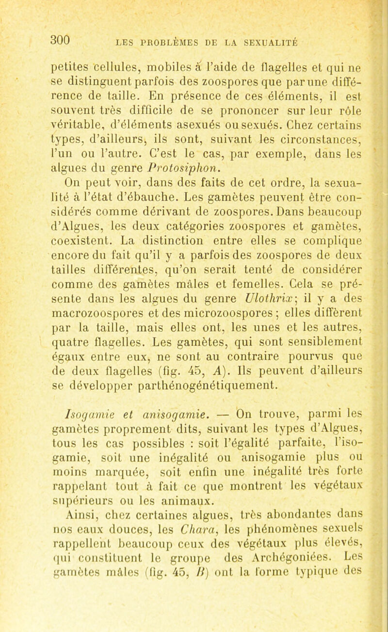petites cellules, mobiles â l’aide de flagelles et qui ne se distinguent parfois des zoospores que par une diffé- rence de taille. En présence de ces éléments, il est souvent très difficile de se prononcer sur leur rôle véritable, d’éléments asexués ou sexués. Chez certains types, d’ailleurs, ils sont, suivant les circonstances, l’un ou l’autre. C’est le cas, par exemple, dans les algues du genre Protosiphon. On peut voir, dans des faits de cet ordre, la sexua- lité à l’état d’ébauche. Les gamètes peuvent être con- sidérés comme dérivant de zoospores. Dans beaucoup d’Algues, les deux catégories zoospores et gamètes, coexistent. La distinction entre elles se complique encore du fait qu’il y a parfois des zoospores de deux tailles différentes, qu’on serait tenté de considérer comme des gamètes mâles et femelles. Cela se pré- sente dans les algues du genre Ulothrix; il y a des macrozoospores et des microzoospores ; elles diffèrent par la taille, mais elles ont, les unes et les autres, quatre flagelles. Les gamètes, qui sont sensiblement égaux entre eux, ne sont au contraire pourvus que de deux flagelles (fig. 45, A). Ils peuvent d’ailleurs se développer parthénogénétiquement. Isogamie et anisogamie. — On trouve, parmi les gamètes proprement dits, suivant les types d’Algues, tous les cas possibles : soit l’égalité parfaite, l’iso- gamie, soit une inégalité ou anisogamie plus ou moins marquée, soit enfin une inégalité très forte rappelant tout à fait ce que montrent les végétaux supérieurs ou les animaux. Ainsi, chez certaines algues, très abondantes dans nos eaux douces, les Chara, les phénomènes sexuels rappellent beaucoup ceux des végétaux plus élevés, qui constituent le groupe des Archégoniées. Les gamètes mâles (fig. 45, II) ont la forme typique des