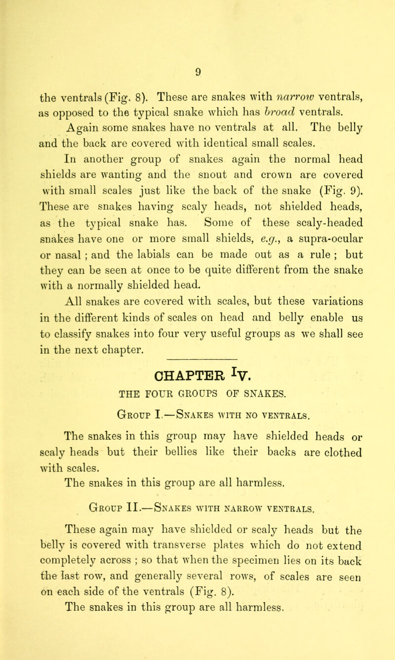 the ventrals (Fig. 8). These are snakes with narrow ventrals, as opposed to the typical snake which has broad ventrals. Again some snakes have no ventrals at all. The belly and the back are covered with identical small scales. In another group of snakes again the normal head shields are wanting and the snout and crown are covered with small scales just like the back of the snake (Fig. 9). These are snakes having scaly heads, not shielded heads, as the typical snake has. Some of these scaly-headed snakes have one or more small shields, e,g., a supra-ocular or nasal ; and the labials can be made out as a rule ; but they can be seen at once to be quite different from the snake with a normally shielded head. All snakes are covered with scales, but these variations in the different kinds of scales on head and belly enable us to classify snakes into four very useful groups as we shall see in the next chapter. CHAPTER lY. THE FOUR GROUPS OF SNAKES. Group I.—Snakes with no ventrals. The snakes in this group may have shielded heads or scaly heads but their bellies like their backs are clothed with scales. The snakes in this group are all harmless. Group II.—Snakes with narrow ventrals. These again may have shielded or scaly heads but the belly is covered with transverse plates which do not extend completely across ; so that when the specimen lies on its back the last row, and generally several rows, of scales are seen on each side of the ventrals (Fig. 8). The snakes in this group are all harmless.