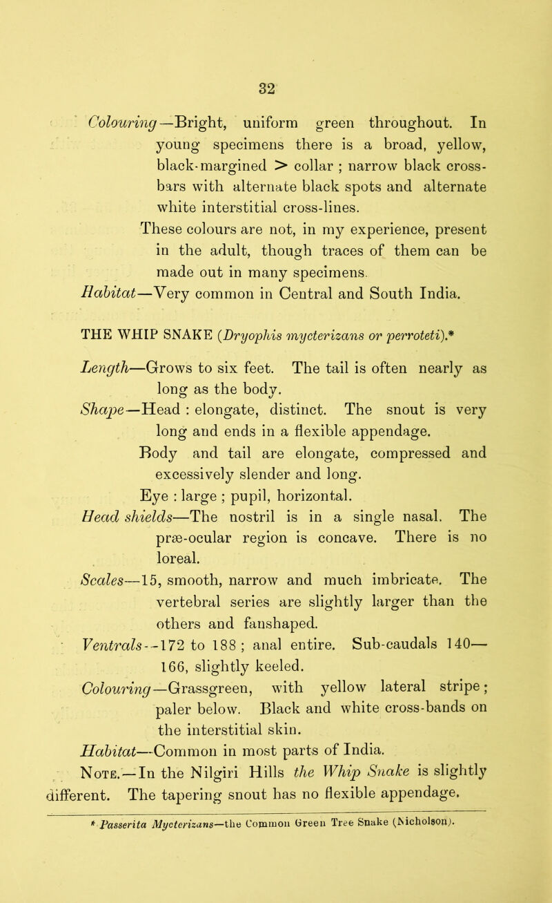 Colouring—Bright, uniform green throughout. In young specimens there is a broad, yellow, black-margined > collar ; narrow black cross- bars with alternate black spots and alternate white interstitial cross-lines. These colours are not, in my experience, present in the adult, though traces of them can be made out in many specimens. Habitat—Very common in Central and South India. THE WHIP SNAKE (Dryophis mycterizans or perroteti).* Length—Grows to six feet. The tail is often nearly as long as the body. Shape—Head : elongate, distinct. The snout is very long and ends in a flexible appendage. Body and tail are elongate, compressed and excessively slender and long. Eye : large ; pupil, horizontal. Bead shields—The nostril is in a single nasal. The prse-ocular region is concave. There is no loreal. Scales—15, smooth, narrow and much imbricate. The vertebral series are slightly larger than the others and fanshaped. Ventrals--172 to 188; anal entire. Sub-caudals 140— 166, slightly keeled. Colouring—Grassgreen, with yellow lateral stripe; paler below. Black and white cross-bands on the interstitial skin. Habitat—Common in most parts of India. Note. — In the Nilgiri Hills the Whip Snake is slightly different. The tapering snout has no flexible appendage. * Passerita Mycterizans—the Common Green Tree Snake (Mcholsoo,).