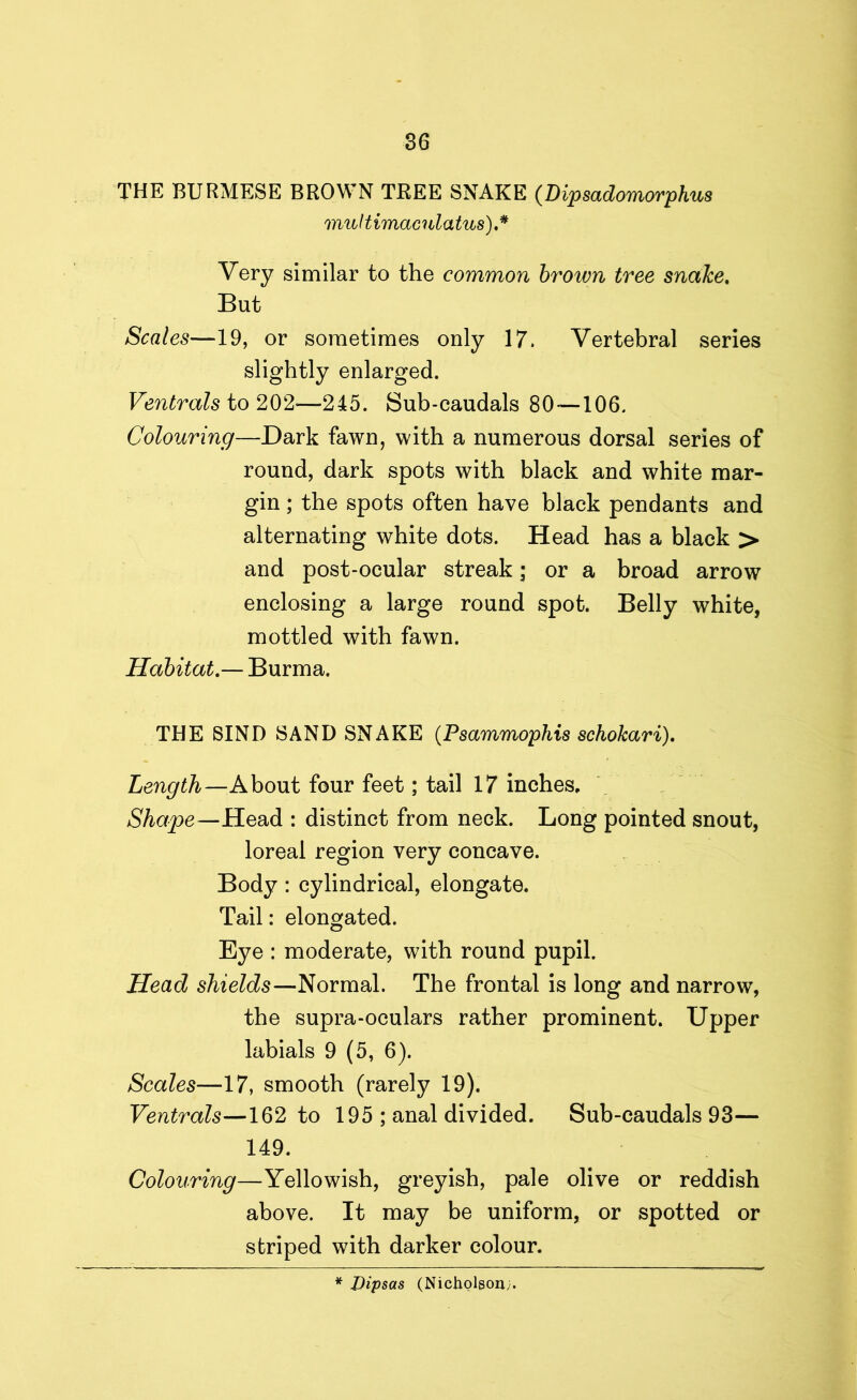 THE BURMESE BROWN TREE SNAKE (Dipsadomorphus multimacnlatus).* Very similar to the common brown tree snake. But Scales—19, or sometimes only 17. Vertebral series slightly enlarged. Ventrals to 202-—245. Sub-caudals 80—106. Colouring—Dark fawn, with a numerous dorsal series of round, dark spots with black and white mar- gin ; the spots often have black pendants and alternating white dots. Head has a black > and post-ocular streak; or a broad arrow enclosing a large round spot. Belly white, mottled with fawn. Habitat— Burma. THE SIND SAND SNAKE (Psammophis schokari). Length—About four feet; tail 17 inches. Shape—Head : distinct from neck. Long pointed snout, loreal region very concave. Body : cylindrical, elongate. Tail: elongated. Eye : moderate, with round pupil. Head shields—Normal. The frontal is long and narrow, the supra-oculars rather prominent. Upper labials 9 (5, 6). Scales—17, smooth (rarely 19). Ventrals—162 to 195 ; anal divided. Sub-caudals 93— 149. Colouring—Yellowish, greyish, pale olive or reddish above. It may be uniform, or spotted or striped with darker colour.