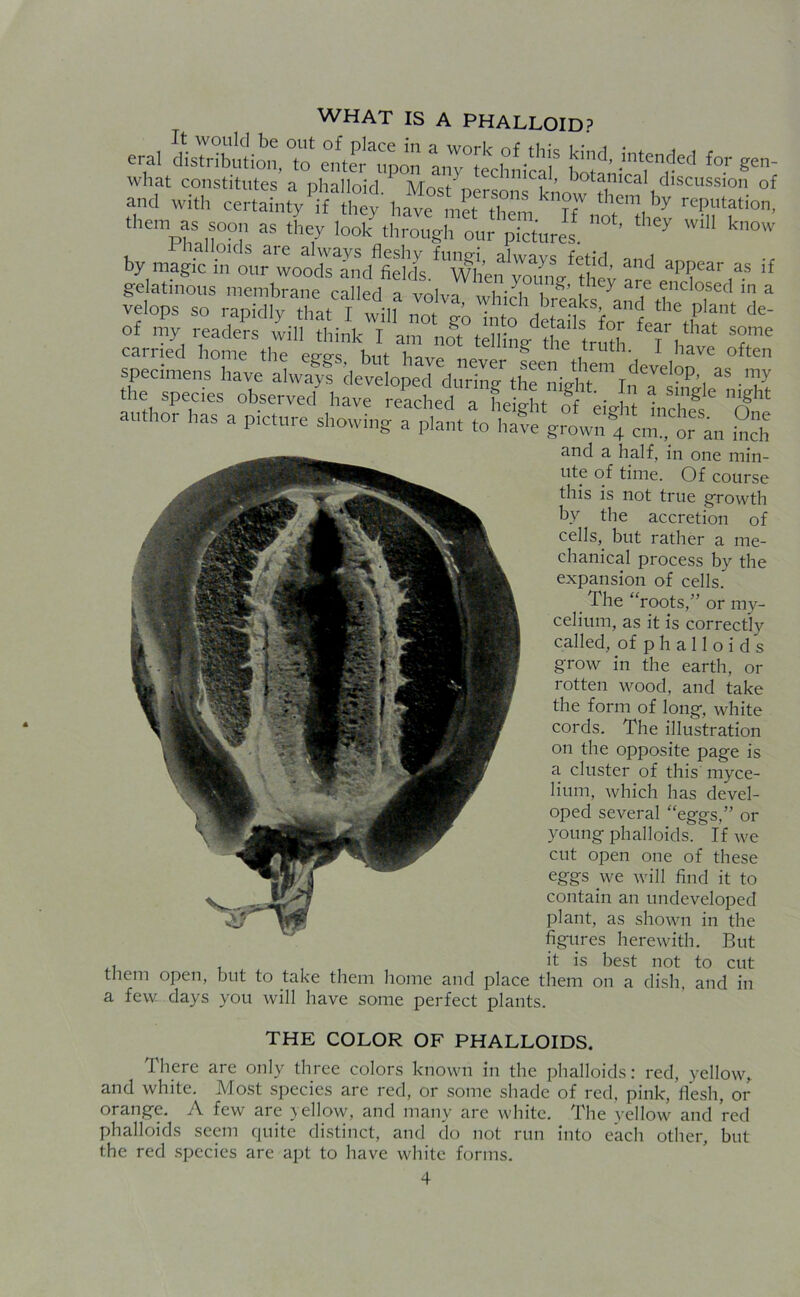 WHAT IS A PHALLOID? eral distribution, to ent^upon a^°tech^icaiS botanic1?11]-6'1 ^ gCn~ what constitutes a phalloid Mn^rc , ’ botanical discussion of and with cert«n^V!^-h.“^raknI7^r^ W”’ them as soon as they look through our pictures ' J know I halloids are always fleshy fungi alwavs irWA by magic in our woods and fields. When young- thev are ?p?ear as lf gelatinous membrane callprl ^ -.mi , • , , ey are enclosed in a velops so rapSly “ at I tiland the plailt de Of L readers ut[ *7,^ 17 carried home the pp-o-c hut ° U1L ,trurn< t have often specimens have alwaff developed duTin^thrnigUn\1reJes?P'l “ T the species observed have reached a he rtt S b , ,gle mght author has a picture showing a^t to l^^f cmtT and a half, in one min- ute of time. Of course this is not true growth by the accretion of cells, but rather a me- chanical process by the expansion of cells. The “roots,” or my- celium, as it is correctly called, of phalloids grow in the earth, or rotten wood, and take the form of long, white cords. The illustration on the opposite page is a cluster of this myce- lium, which has devel- oped several “eggs,” or young phalloids. If we cut open one of these eggs we will find it to contain an undeveloped plant, as shown in the figures herewith. But ,, , it is best not to cut them open, hut to take them home and place them on a dish, and in a few days you will have some perfect plants. THE COLOR OF PHALLOIDS. There are only three colors known in the phalloids: red, yellow, and white. Most species are red, or some shade of red, pink, flesh, or orange. A few are yellow, and many are white. The yellow and red phalloids seem quite distinct, and do not run into each other, but the red species are apt to have white forms.