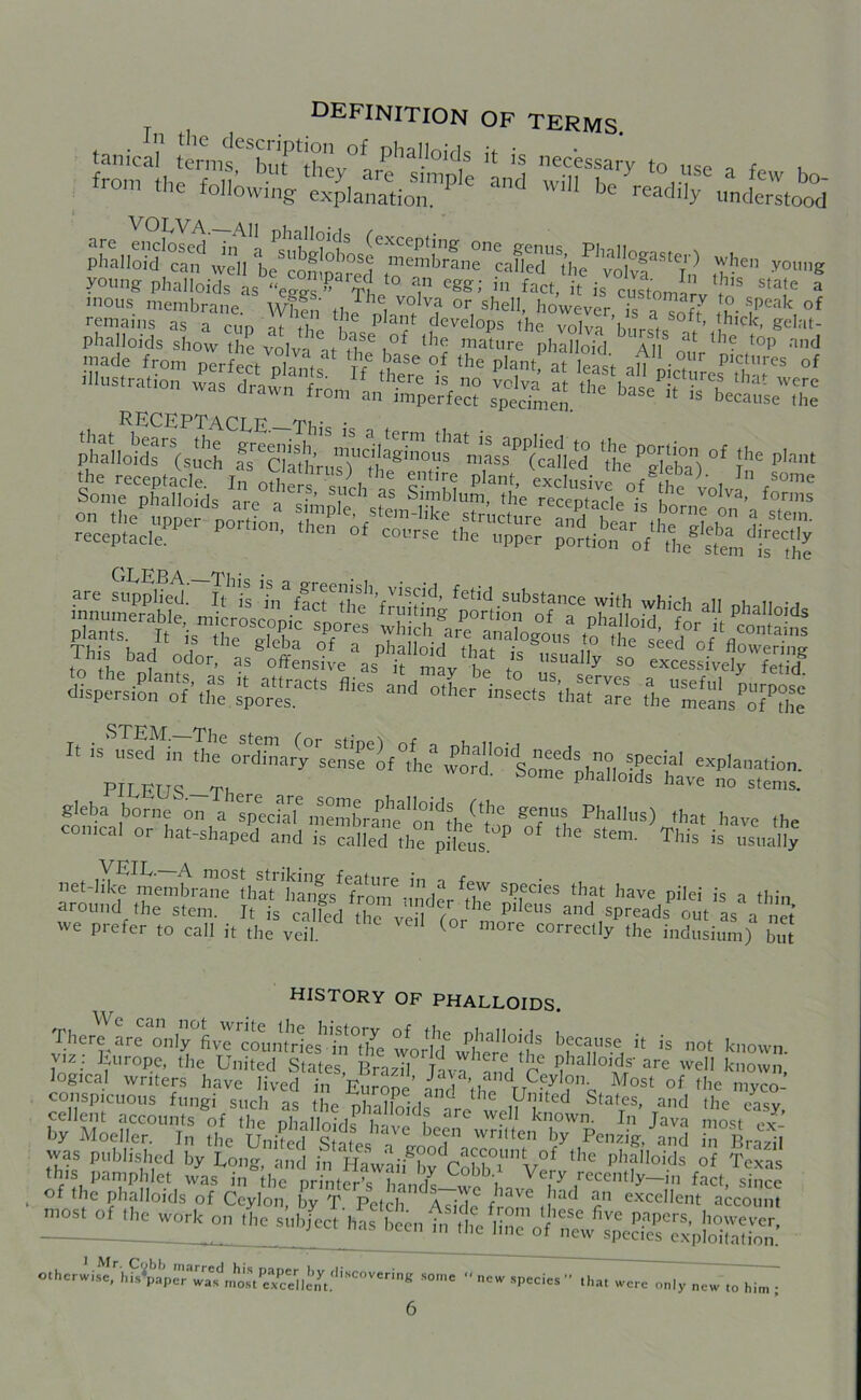 DEFINITION of terms. . AiiKMS. tanical * ‘j ” W to use a few bo rom the following explanation. P WI be readily understood pballoVd'can1 well be'conlpared mc”lb™ f.1611 young ;£vv vrz *-« <>? remains as a cup at thl ^ P aat devel°ps the volva’bursts lhlck’ ^eIaf- l?at°^h0p:rt?£tsadff- I,telra,i0 ™ ^To„ ‘^eTHe^ RECEPTACLE—This • SP* *^.'=?~sS;SE*S gleba borne on a specfaf meSbriJe^n^he^too g?“t PhalIus) th« have the al or hat-shaped and is called the pikus. P °f the Stem‘ This is usually netdXtPmemlsrane^hat1 liangs^ from6underS?fdes ,hat hav« pitei is a thi„ around the stem. It is calted .tTv' (or m,u a,,d ,spreads out as a net' we prefer to call it the veil. ( 0re correctly the indusium) but history of phalloids. There are only fiv^coun^r^-^n^he world6 P,haIloi<Is because it is not known viz; Europe, the United States Brazil T- vTTa^ Phalloids’are well known logical writers have lived in Europe and\£ TrC-/l°% Most o{ dle myco- conspicuous fungi such as the phaZkls we welM StatTeS' Tand ,he easy, cellent accounts of the nlnllmVli u l e w. 1 known. In Java most py by Moeller. In theUnitecl S at J V written ^ Penzig, and hi Brazil was published by Long, and in Hawaii^Cobb0”11 VeJ ^ phflloi.ds of Tcxas ntos, of the „ork on Lsu^Sen o t h c r w iste^his'^p a per**waffmo st*exc e*ij'sc0ver'n8 some - new .species  that were only^ t0 him .