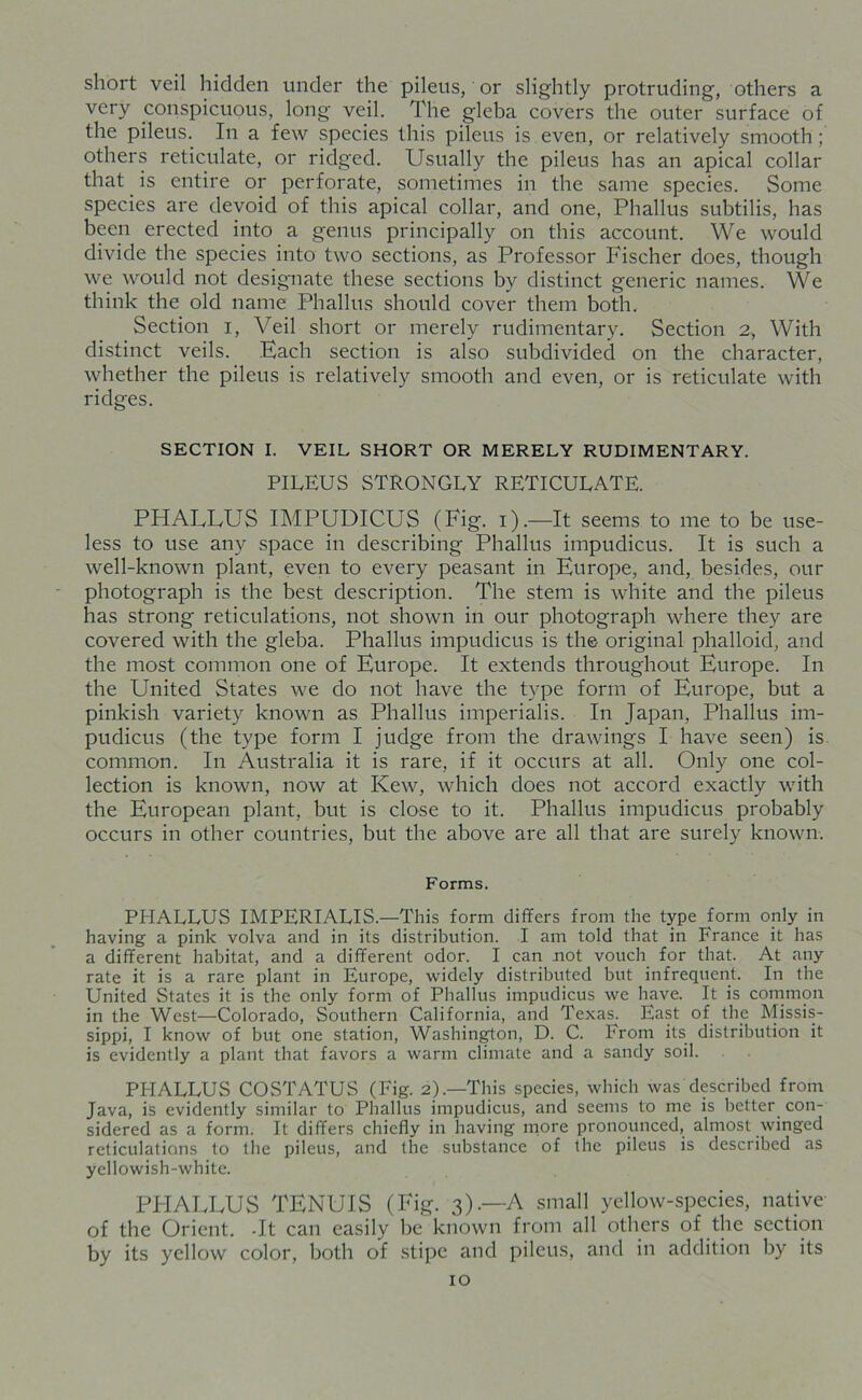 short veil hidden under the pileus, or slightly protruding, others a very conspicuous, long veil. The gleba covers the outer surface of the pileus. In a few species this pileus is even, or relatively smooth ; others reticulate, or ridged. Usually the pileus has an apical collar that is entire or perforate, sometimes in the same species. Some species are devoid of this apical collar, and one, Phallus subtilis, has been erected into a genus principally on this account. We would divide the species into two sections, as Professor Fischer does, though we would not designate these sections by distinct generic names. We think the old name Phallus should cover them both. Section i, Veil short or merely rudimentary. Section 2, With distinct veils. Each section is also subdivided on the character, whether the pileus is relatively smooth and even, or is reticulate with ridges. SECTION I. VEIL SHORT OR MERELY RUDIMENTARY. PILEUS STRONGLY RETICULATE. PFTALEUS IMPUDICUS (Fig. 1).—It seems to me to be use- less to use any space in describing Phallus impudicus. It is such a well-known plant, even to every peasant in Europe, and, besides, our photograph is the best description. The stem is white and the pileus has strong reticulations, not shown in our photograph where they are covered with the gleba. Phallus impudicus is the- original phalloid, and the most common one of Europe. It extends throughout Europe. In the United States we do not have the type form of Europe, but a pinkish variety known as Phallus imperialis. In Japan, Phallus im- pudicus (the type form I judge from the drawings I have seen) is common. In Australia it is rare, if it occurs at all. Only one col- lection is known, now at Kew, which does not accord exactly with the European plant, but is close to it. Phallus impudicus probably occurs in other countries, but the above are all that are surely known. Forms. PHALLUS IMPERIALIS.—This form differs from the type form only in having a pink volva and in its distribution. I am told that in France it has a different habitat, and a different odor. I can not vouch for that. At any rate it is a rare plant in Europe, widely distributed but infrequent. In the United States it is the only form of Phallus impudicus we have. It is common in the West—Colorado, Southern California, and Texas. East of the Missis- sippi, I know of but one station, Washington, D. C. From its distribution it is evidently a plant that favors a warm climate and a sandy soil. PHALLUS COSTATUS (Fig. 2).—This species, which was described from Java, is evidently similar to Phallus impudicus, and seems to me is better con- sidered as a form. It differs chiefly in having more pronounced, almost winged reticulations to the pileus, and the substance of the pileus is described as yellowish-white. PPIALLUS TENUIS (Fig. 3).—A small yellow-species, native of the Orient. -It can easily be known from all others of the section by its yellow color, both of stipe and pileus, and in addition by its