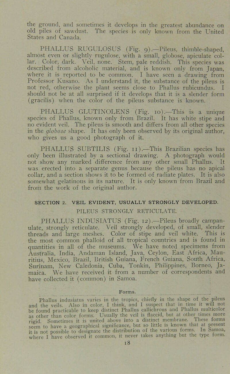 the ground, and sometimes it develops in the greatest abundance on old piles of sawdust. The species is only known from the United States and Canada. PHALLUS RUGULOSUS (Fig. 9).—Pileus, thimble-shaped, almost even or slightly rugulose, with a small, globose, apiculate col- lar. Color, dark. Veil, none. Stem, pale reddish. This species was described from alcoholic material, and is known only from Japan, where it is reported to be common. I have seen a drawing from Professor Kusano. As I understand it, the substance of the pileus is not red, otherwise the plant seems close to Phallus rubicundus. I should not be at all surprised if it develops that it is a slender form (gracilis) when the color of the pileus substance is known. PHALLUS GLUTINOLENS (Fig. 10).—This is a unique species of Phallus, known only from Brazil. It has white stipe and no evident veil. The pileus is smooth and differs from all other species in the globose shape. It has only been observed by its original author, who gives us a good photograph of it. PHALLUS SUBTILIS (Fig. 11).—This Brazilian species has only been illustrated by a sectional drawing. A photograph would not show any marked difference from any other small Phallus. It was erected into a separate genus because the pileus has no apical collar, and a section shows it to be formed of radiate plates. It is also somewhat gelatinous in its nature. It is only known from Brazil and from the work of the original author. SECTION 2. VEIL EVIDENT, USUALLY STRONGLY DEVELOPED. PILEUS STRONGLY RETICULATE. PHALLUS INDUSIATUS (Fig. 12).—Pileus broadly campan- ulate, strongly reticulate. Veil strongly developed, of small, slender threads and large meshes. Color of stipe and veil white. This is the most common phalloid of all tropical countries and is found in quantities in all of the museums. We have noted specimens from Australia, India, Andaman Island, Java, Ceylon, East Africa, Mau- ritius, Mexico, Brazil, British Guiana, French Guiana, South Africa, Surinam, New Caledonia, Cuba, Tonkin, Philippines, Borneo, Ja- maica. We have received it from a number of correspondents and have collected it (common) in Samoa. Forms. Phallus indusiatus varies in the tropics, chiefly in the shape of the pileus and the veils. Also in color, I think, and I suspect that in time it will not be found practicable to keep distinct Phallus callichrous and Phallus multicolor as other than color forms. Usually the veil is flaccid, but at other ^times more rigid. Sometimes it is united above into a distinct membrane. These forms seem to have a geographical significance, but so little is known that at present it is not possible to designate the distribution of the various forms. In Samoa, where I have observed it common, it never takes anything but the type form.