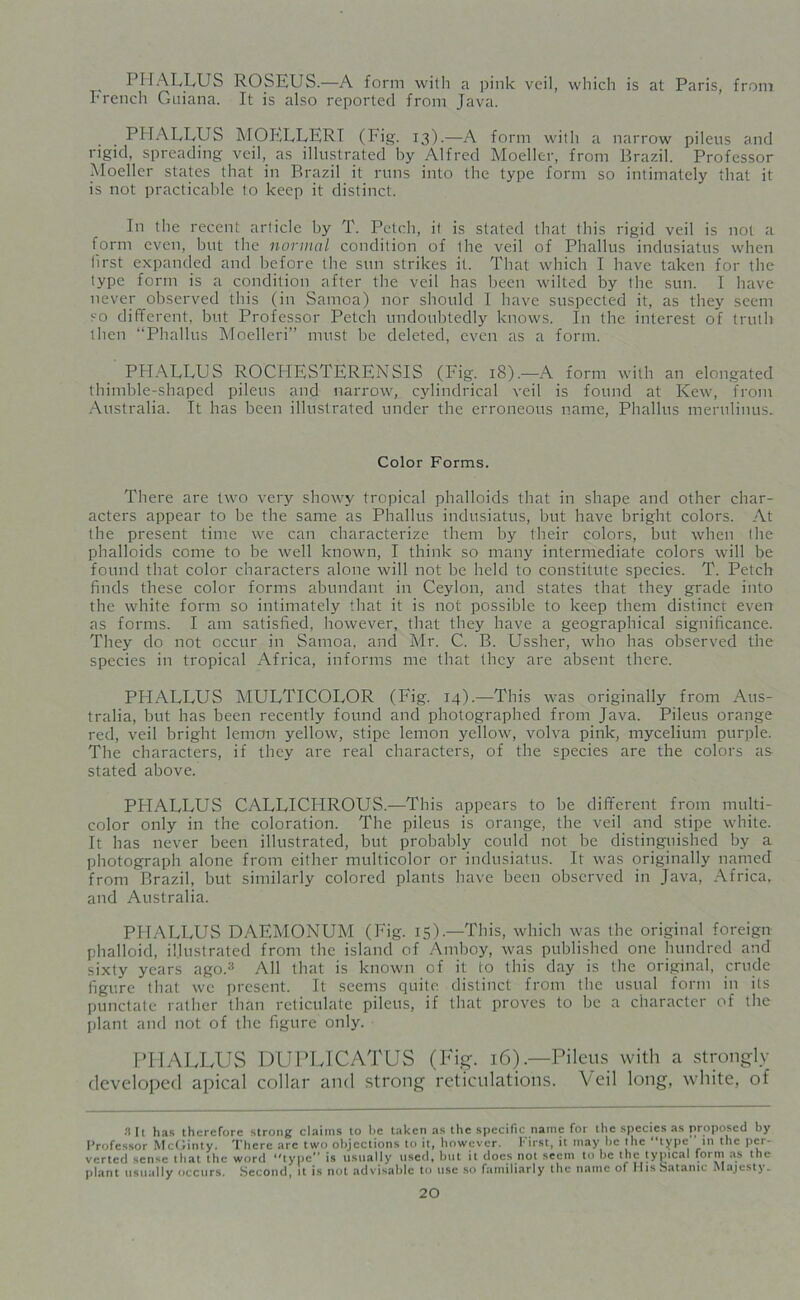 PHALLUS ROSEUS.—A form with a pink veil, which is at Paris, from French Guiana. It is also reported from Java. PHALLUS MOELLER! (Fig. 13).—A form with a narrow pileus and rigid, spreading veil, as illustrated by Alfred Moeller, from Brazil. Professor Moeller states that in Brazil it runs into the type form so intimately that it is not practicable to keep it distinct. In the recent article by T. Petch, it is stated that this rigid veil is not a form even, but the normal condition of the veil of Phallus indusiatus when lirst expanded and before the sun strikes it. That which I have taken for the type form is a condition after the veil has been wilted by the sun. I have never observed this (in Samoa) nor should I have suspected it, as they seem so different, but Professor Petch undoubtedly knows. In the interest of truth then “Phallus Moelleri” must be deleted, even as a form. PHALLUS ROCHESTERENSIS (Fig. 18).—A form with an elongated thimble-shaped pileus and narrow, cylindrical veil is found at Kew, from Australia. It has been illustrated under the erroneous name, Phallus merulinus. Color Forms. There are two very showy tropical phalloids that in shape and other char- acters appear to be the same as Phallus indusiatus, but have bright colors. At the present time we can characterize them by their colors, but when the phalloids come to be well known, I think so many intermediate colors will be found that color characters alone will not be held to constitute species. T. Petch finds these color forms abundant in Ceylon, and states that they grade into the white form so intimately that it is not possible to keep them distinct even as forms. I am satisfied, however, that they have a geographical significance. They do not occur in Samoa, and Mr. C. B. Ussher, who has observed the species in tropical Africa, informs me that they are absent there. PHALLUS MULTICOLOR (Fig. 14).—This was originally from Aus- tralia, but has been recently found and photographed from Java. Pileus orange red, veil bright lemon yellow, stipe lemon yellow, volva pink, mycelium purple. The characters, if they are real characters, of the species are the colors as stated above. PHALLUS CALLICPIROUS.—This appears to be different from multi- color only in the coloration. The pileus is orange, the veil and stipe white. It has never been illustrated, but probably could not be distinguished by a photograph alone from either multicolor or indusiatus. It was originally named from Brazil, but similarly colored plants have been observed in Java, Africa, and Australia. PHALLUS DAEMONUM (Fig. 15).—This, which was the original foreign phalloid, illustrated from the island of Amboy, was published one hundred and sixty years ago.3 All that is known of it to this day is the original, crude figure that we present. It seems quite, distinct from the usual form in its punctate rather than reticulate pileus, if that proves to be a character of the plant and not of the figure only. PHALLUS DUPLICATUS (Fig. 16).—Pileus with a strongly developed apical collar and strong reticulations. Veil long, white, of Sit has therefore strong claims to be taken as the specific name for the species as proposed by Professor McGinty. There are two objections to it, however. I* irst, it may be the “type in the per- verted sense that the word “type is usually used, but it does not seem to be the typical form as the plant usually occurs. Second, it is not advisable to use so familiarly the name of His Satanic Majesty.