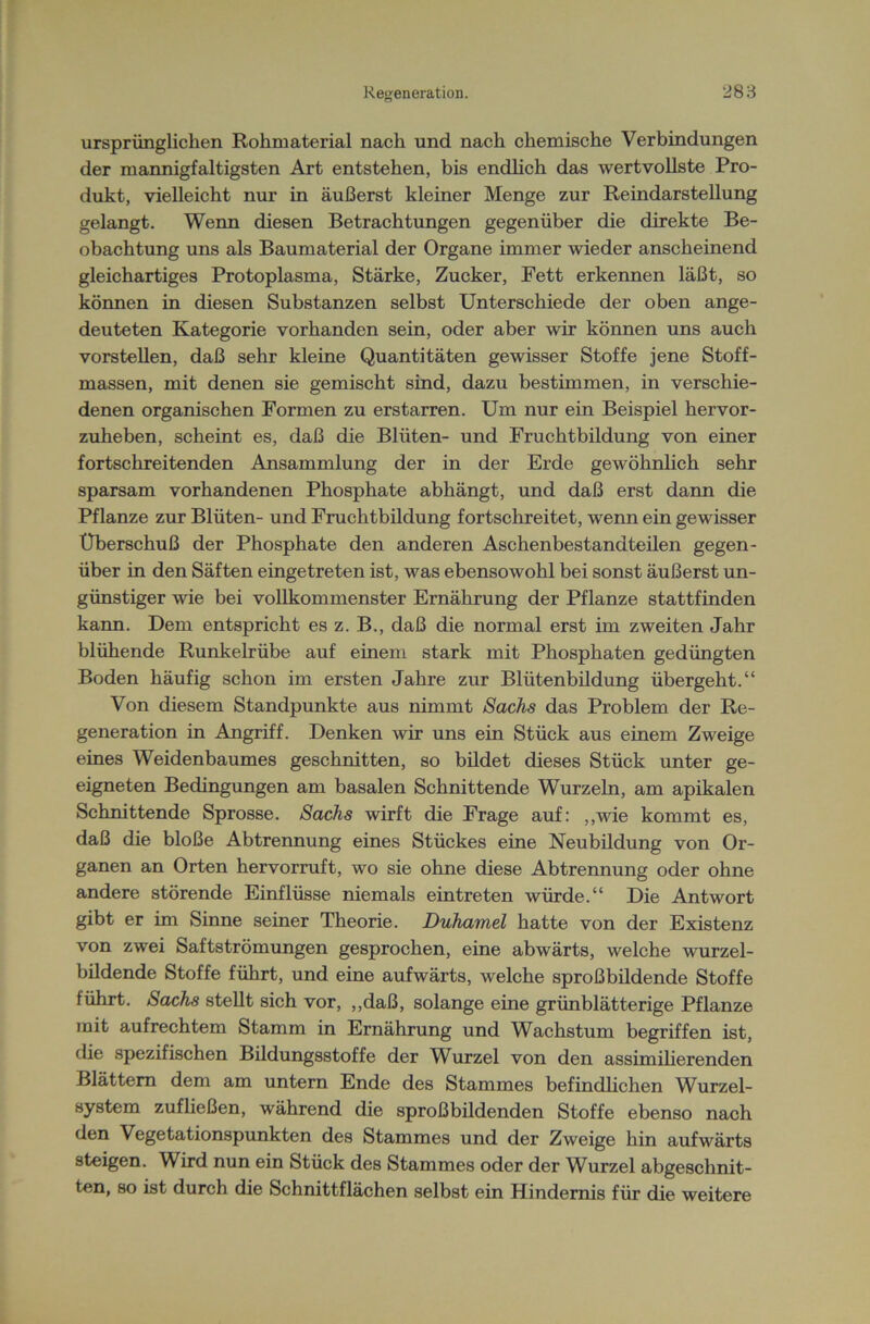 ursprünglichen Rohmaterial nach und nach chemische Verbindungen der mannigfaltigsten Art entstehen, bis endlich das wertvollste Pro- dukt, vielleicht nur in äußerst kleiner Menge zur Reindarstellung gelangt. Wenn diesen Betrachtungen gegenüber die direkte Be- obachtung uns als Baumaterial der Organe immer wieder anscheinend gleichartiges Protoplasma, Stärke, Zucker, Fett erkennen läßt, so können in diesen Substanzen selbst Unterschiede der oben ange- deuteten Kategorie vorhanden sein, oder aber wir können uns auch vorstellen, daß sehr kleine Quantitäten gewisser Stoffe jene Stoff- massen, mit denen sie gemischt sind, dazu bestimmen, in verschie- denen organischen Formen zu erstarren. Um nur ein Beispiel hervor- zuheben, scheint es, daß die Blüten- und Fruchtbildung von einer fortschreitenden Ansammlung der in der Erde gewöhnlich sehr sparsam vorhandenen Phosphate abhängt, und daß erst dann die Pflanze zur Blüten- und Fruchtbildung fortschreitet, wenn ein gewisser Überschuß der Phosphate den anderen Aschenbestandteilen gegen- über in den Säften eingetreten ist, was ebensowohl bei sonst äußerst un- günstiger wie bei vollkommenster Ernährung der Pflanze stattfinden kann. Dem entspricht es z. B., daß die normal erst im zweiten Jahr blühende Runkelrübe auf einem stark mit Phosphaten gedüngten Boden häufig schon im ersten Jahre zur Blütenbildung übergeht.“ Von diesem Standpunkte aus nimmt Sachs das Problem der Re- generation in Angriff. Denken wir uns ein Stück aus einem Zweige eines Weidenbaumes geschnitten, so bildet dieses Stück unter ge- eigneten Bedingungen am basalen Schnittende Wurzeln, am apikalen Schnittende Sprosse. Sachs wirft die Frage auf: „wie kommt es, daß die bloße Abtrennung eines Stückes eine Neubildung von Or- ganen an Orten hervorruft, wo sie ohne diese Abtrennung oder ohne andere störende Einflüsse niemals eintreten würde.“ Die Antwort gibt er im Sinne seiner Theorie. Duhamel hatte von der Existenz von zwei Saftströmungen gesprochen, eine abwärts, welche wurzel- bildende Stoffe führt, und eine aufwärts, welche sproßbildende Stoffe führt. Sachs stellt sich vor, „daß, solange eine grünblätterige Pflanze mit aufrechtem Stamm in Ernährung und Wachstum begriffen ist, die spezifischen Bildungsstoffe der Wurzel von den assimilierenden Blättern dem am untern Ende des Stammes befindlichen Wurzel- system zufließen, während die sproßbildenden Stoffe ebenso nach den Vegetationspunkten des Stammes und der Zweige hin aufwärts steigen. Wird nun ein Stück des Stammes oder der Wurzel abgeschnit- ten, so ist durch die Schnittflächen selbst ein Hindernis für die weitere
