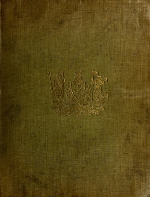 No text description is available for this image